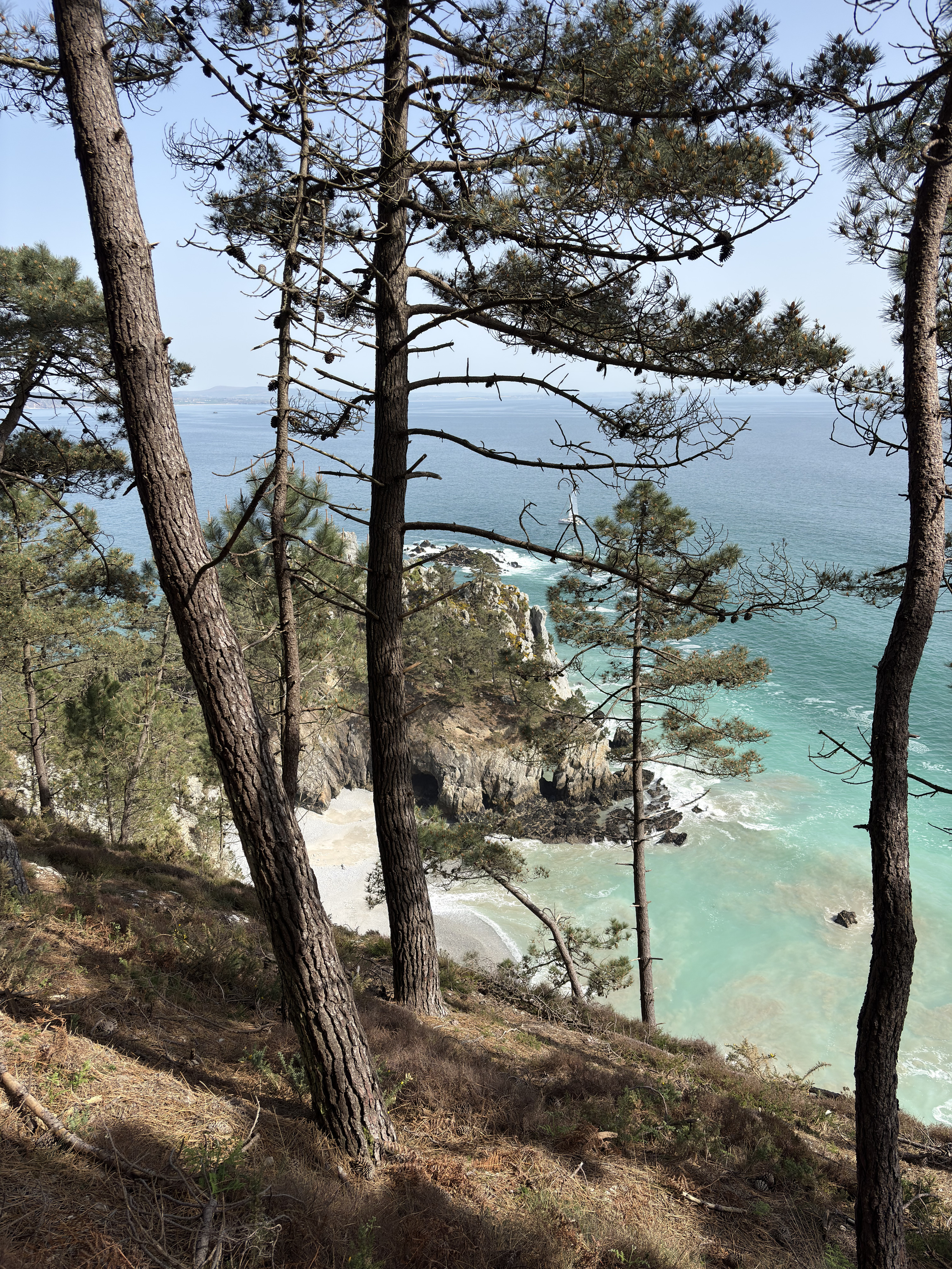 Picture France Crozon Ile Vierge Beach 2026-04 41 - Recreation Ile Vierge Beach