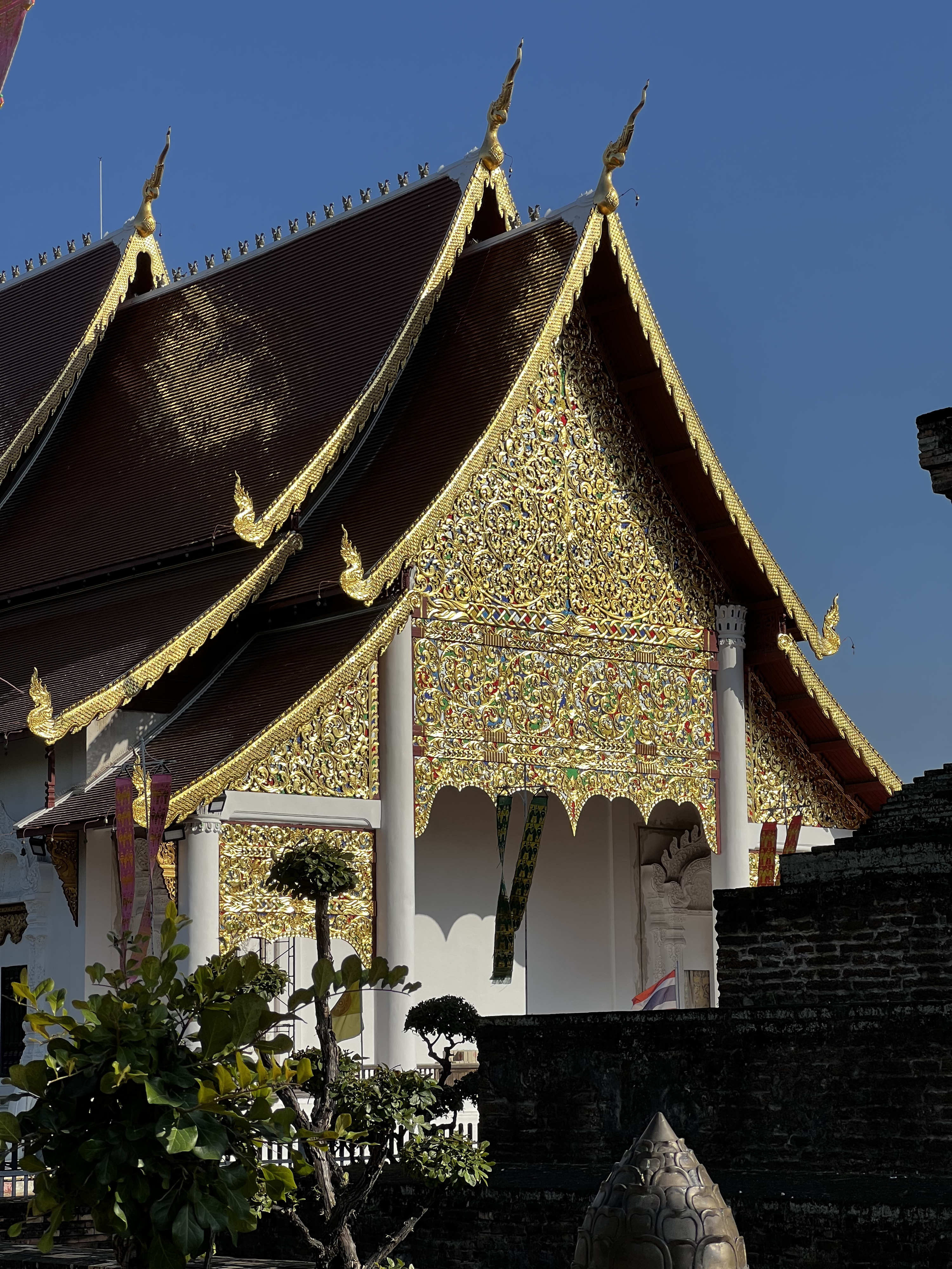 Picture Thailand Chiang Mai 2024-01 1 - Recreation Chiang Mai