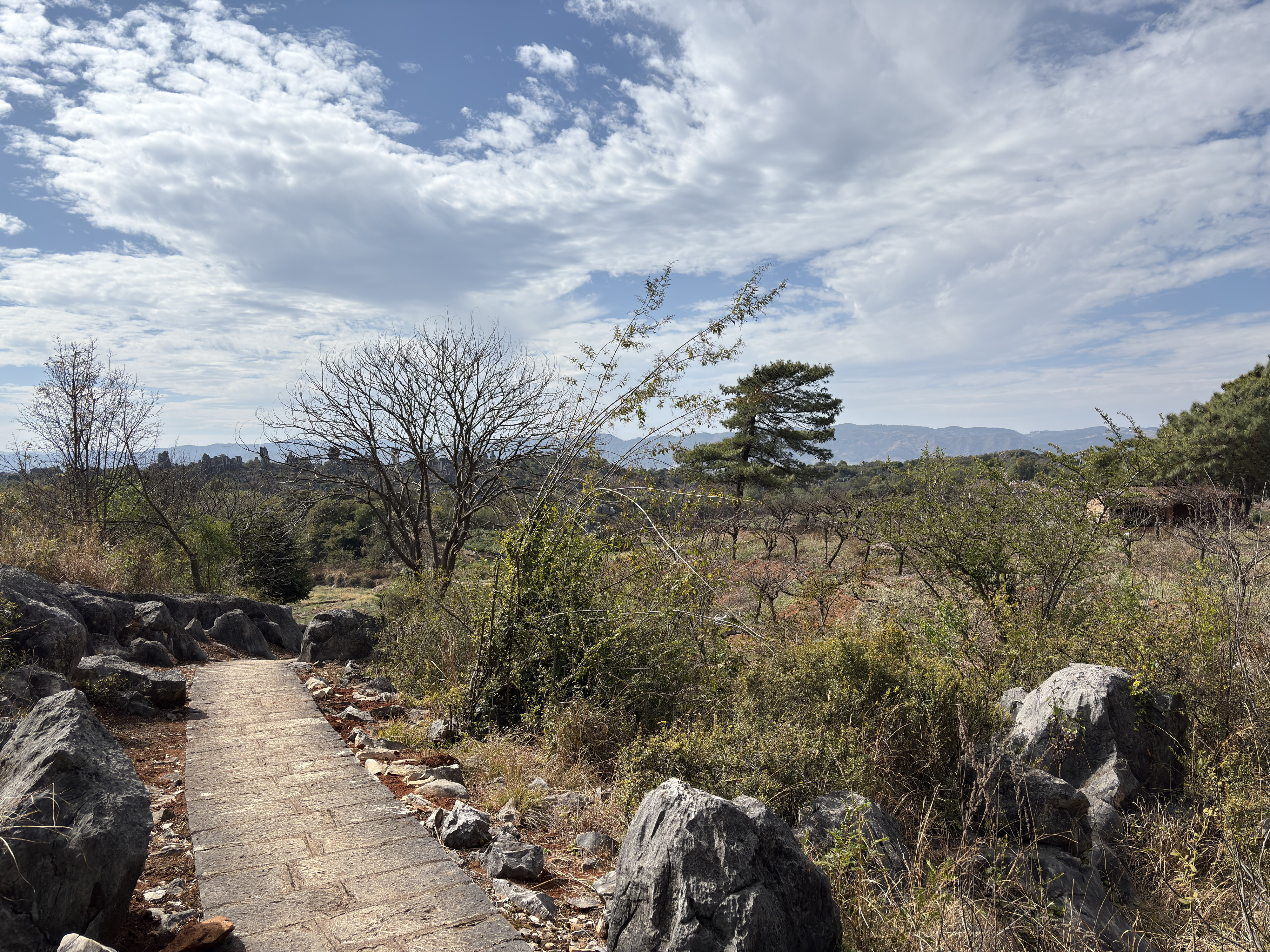 Picture China Shilin Stone Forest 2026-01 140 - Around Shilin Stone Forest