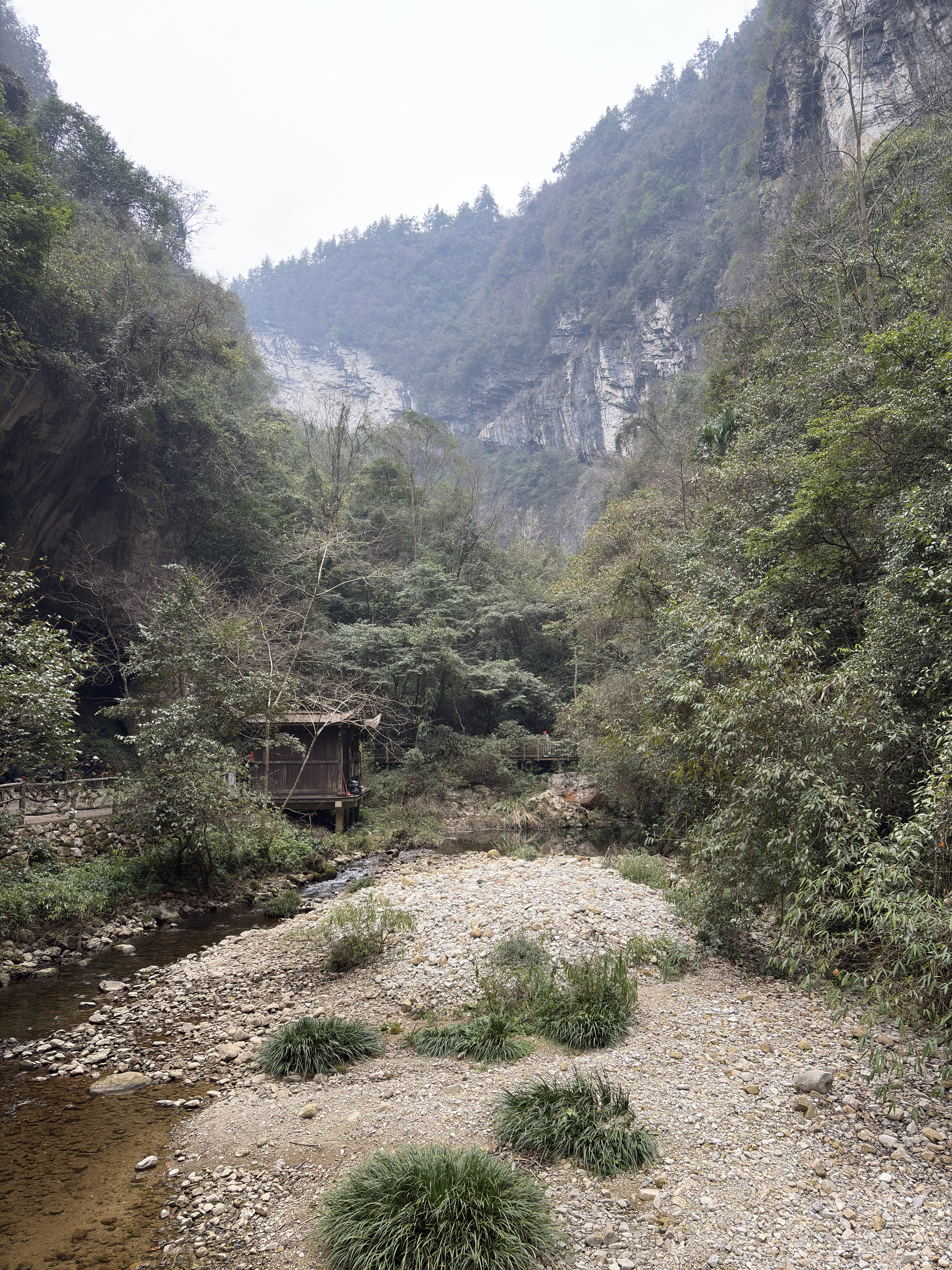 Picture China Zhangjiajie Grand Canion 2026-01 26 - Center Grand Canion