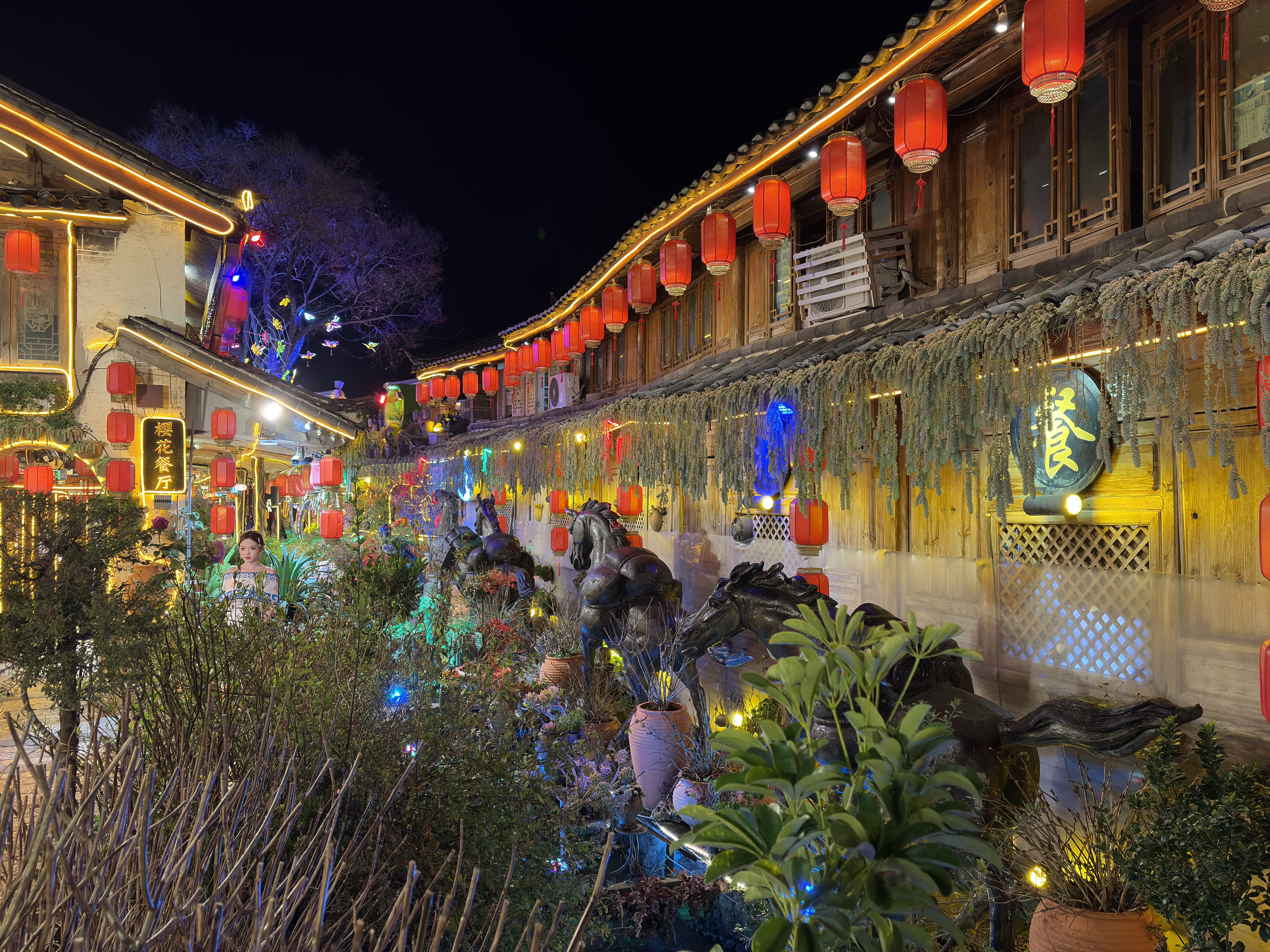 Picture China Lijiang 2026-01 525 - Around Lijiang