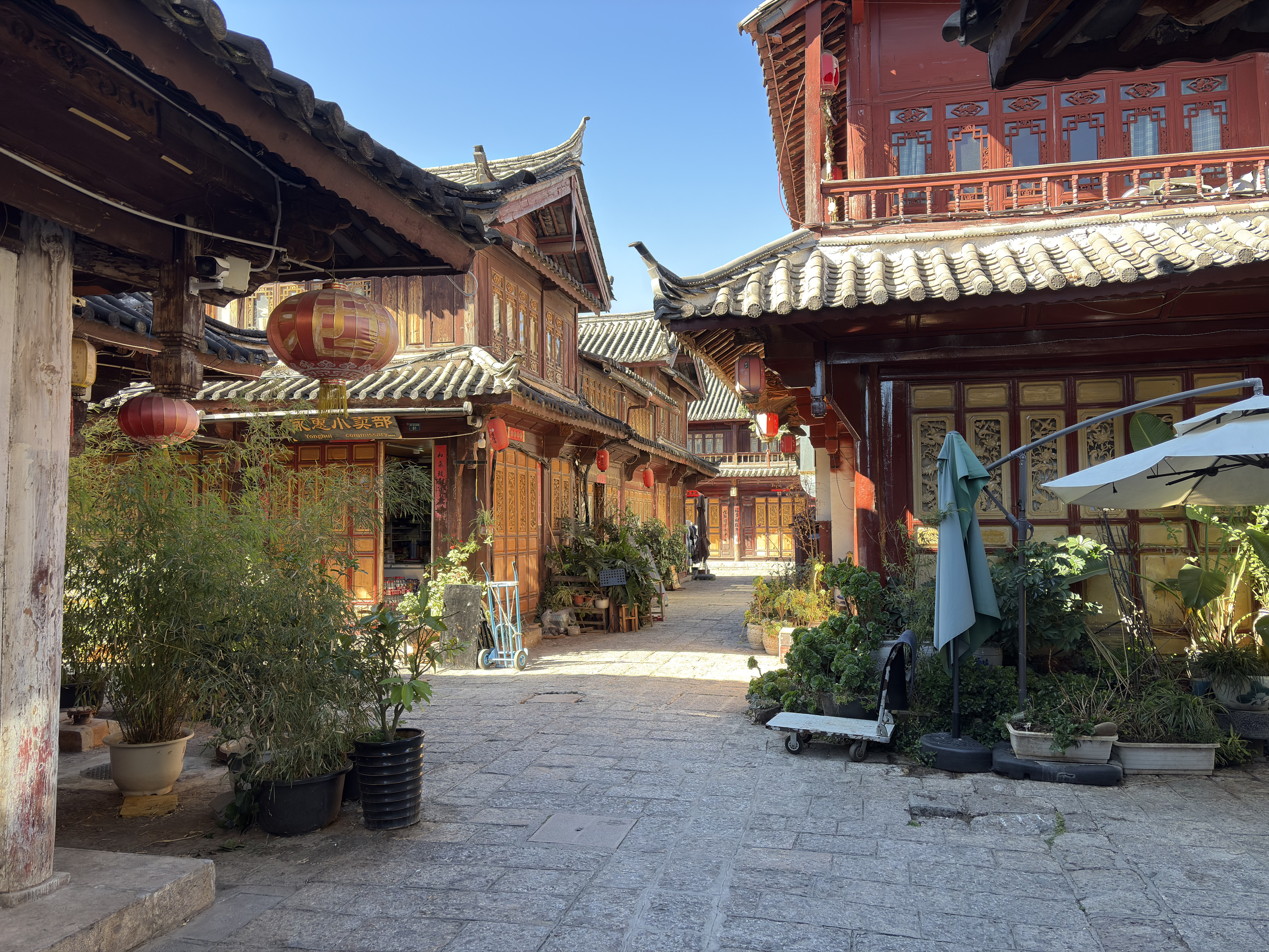 Picture China Lijiang 2026-01 644 - Discovery Lijiang