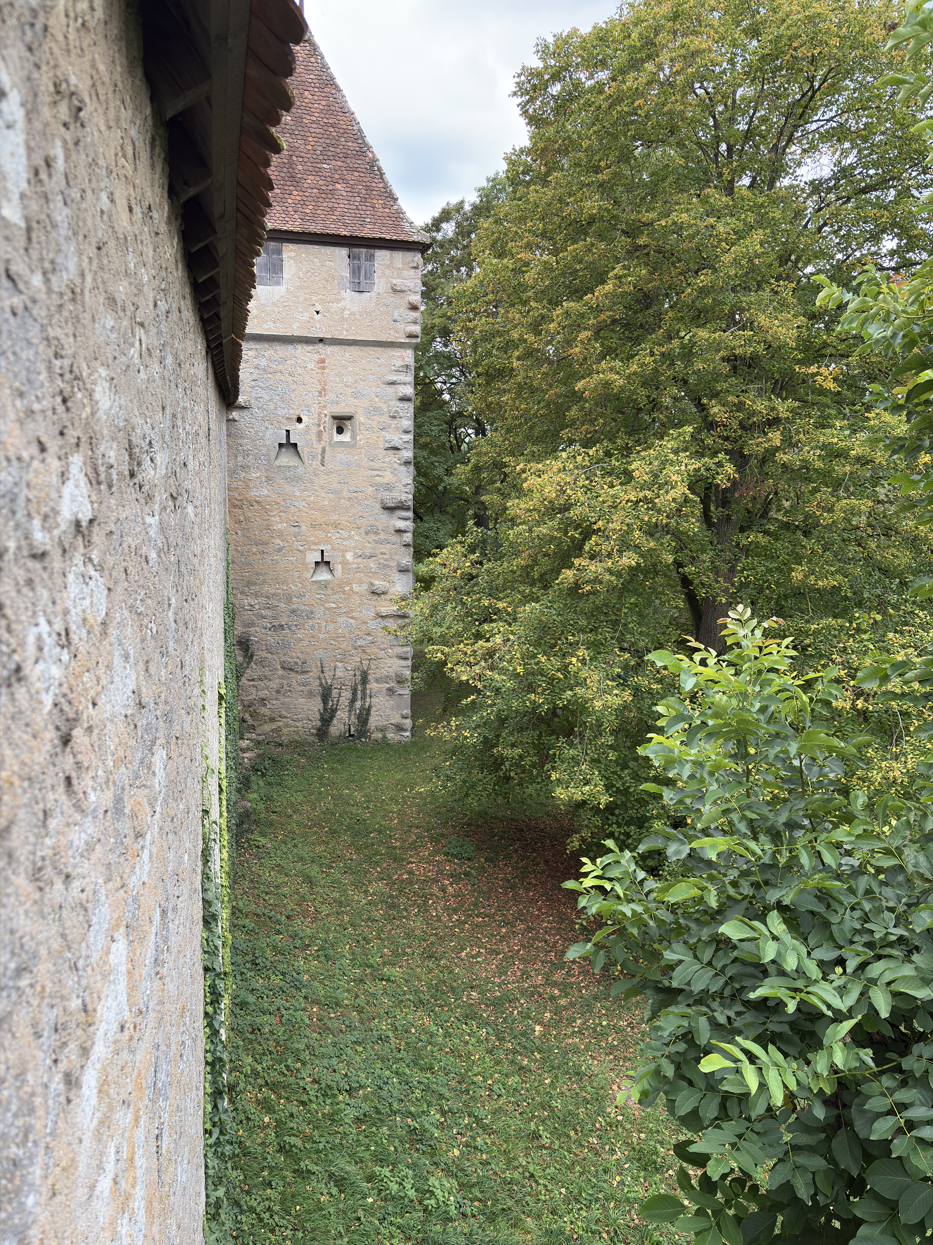 Picture Germany Rothenburg ob der Tauber⁩ 2025-09 29 - Recreation Rothenburg ob der Tauber⁩