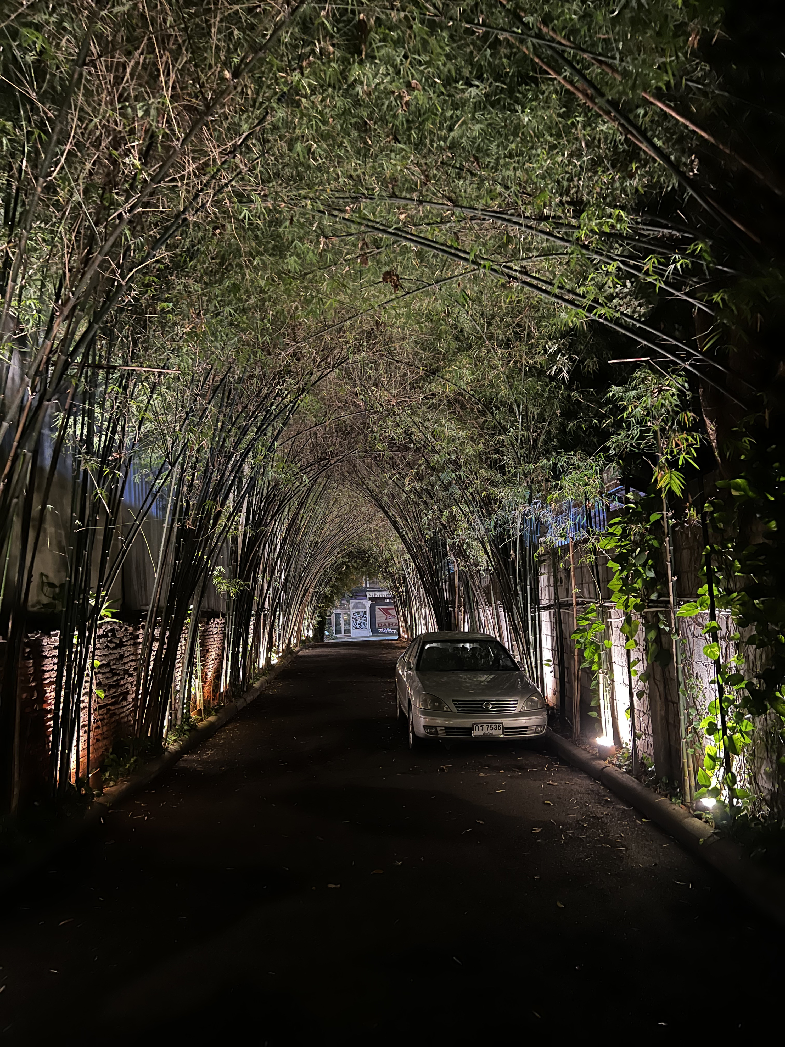 Picture Thailand Chiang Mai 2024-01 100 - History Chiang Mai
