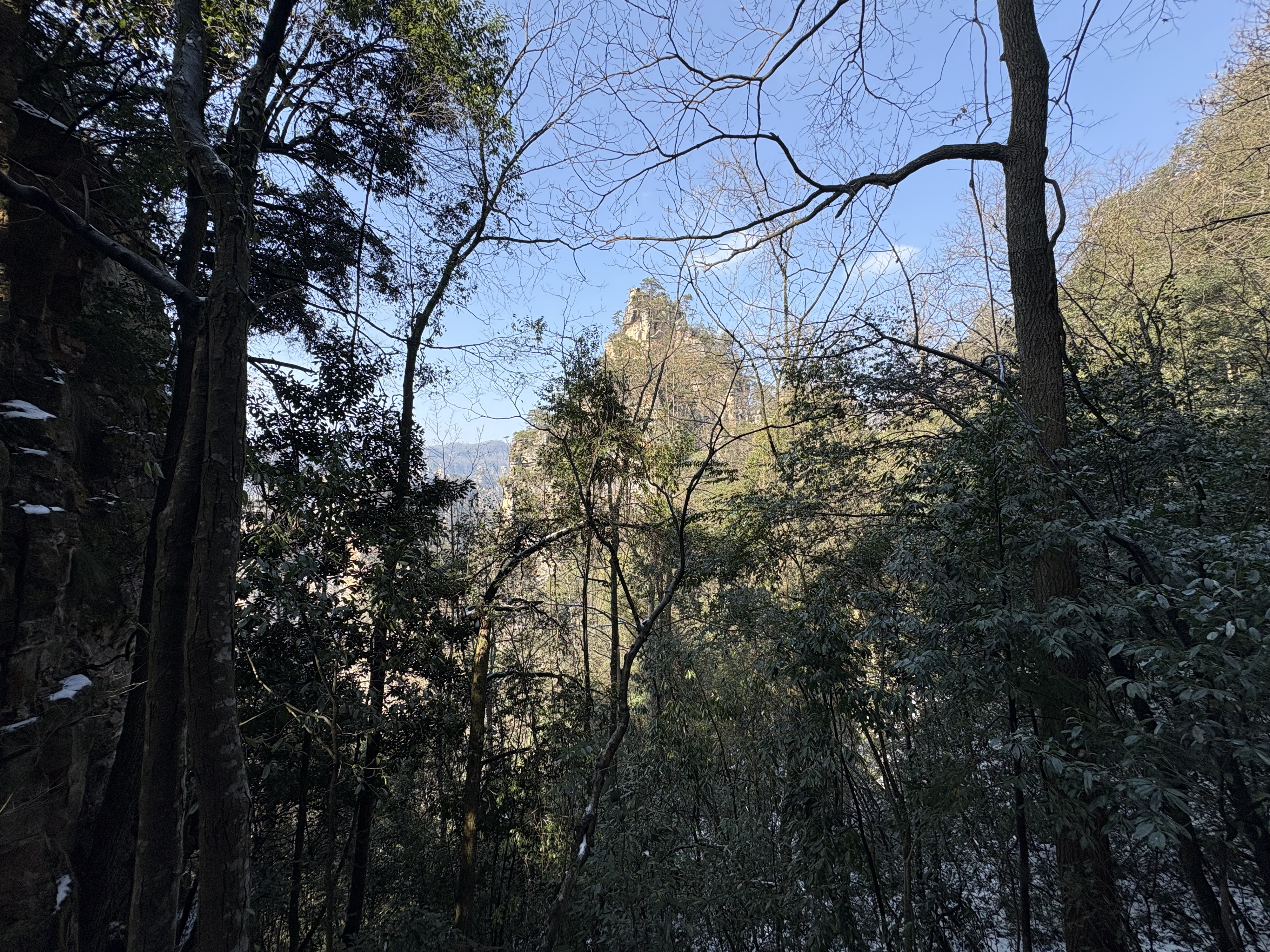 Picture China Zhangjiajie Tianzi Mountrain 2026-01 94 - Tour Tianzi Mountrain