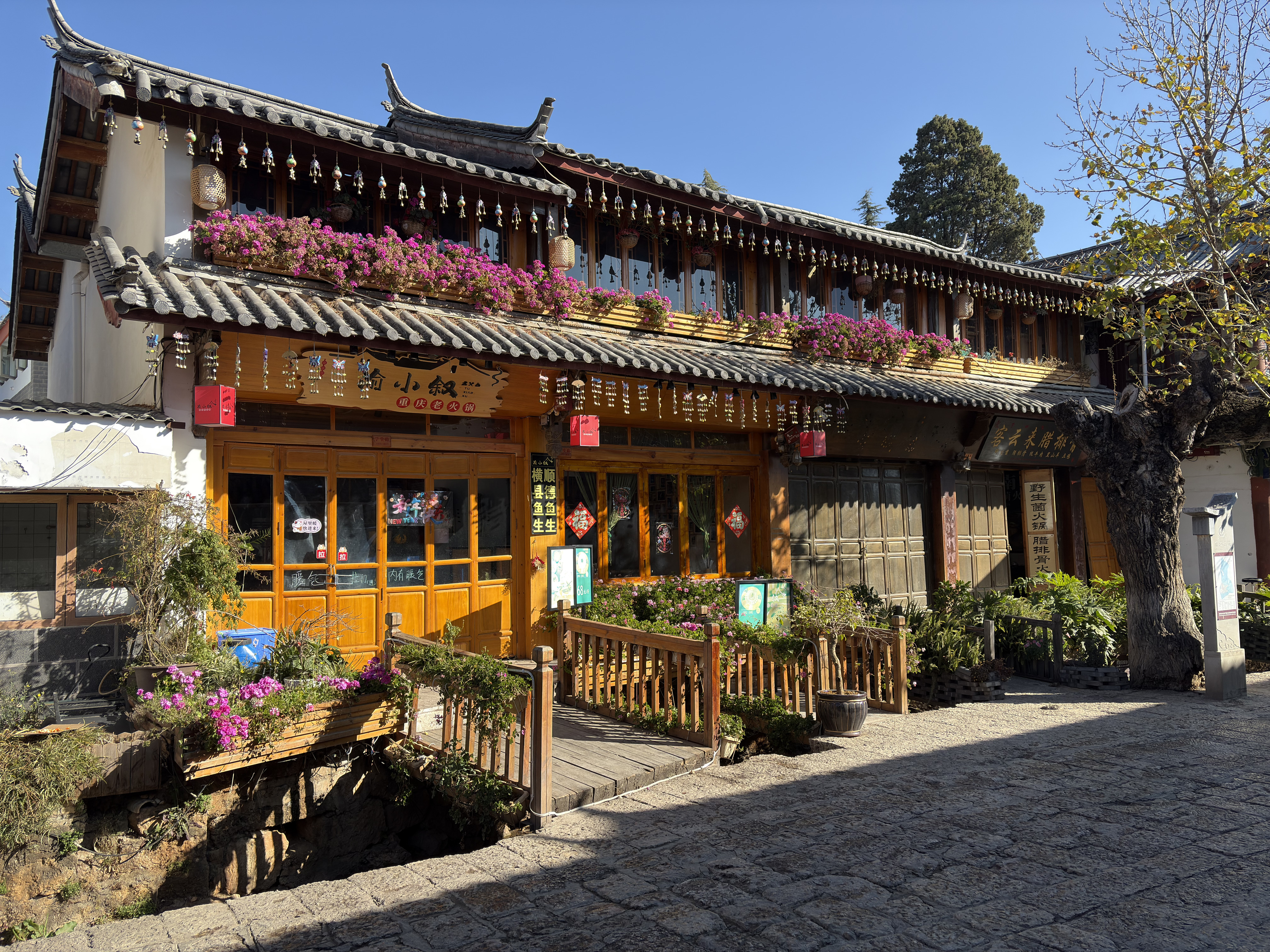 Picture China Lijiang 2026-01 325 - Discovery Lijiang