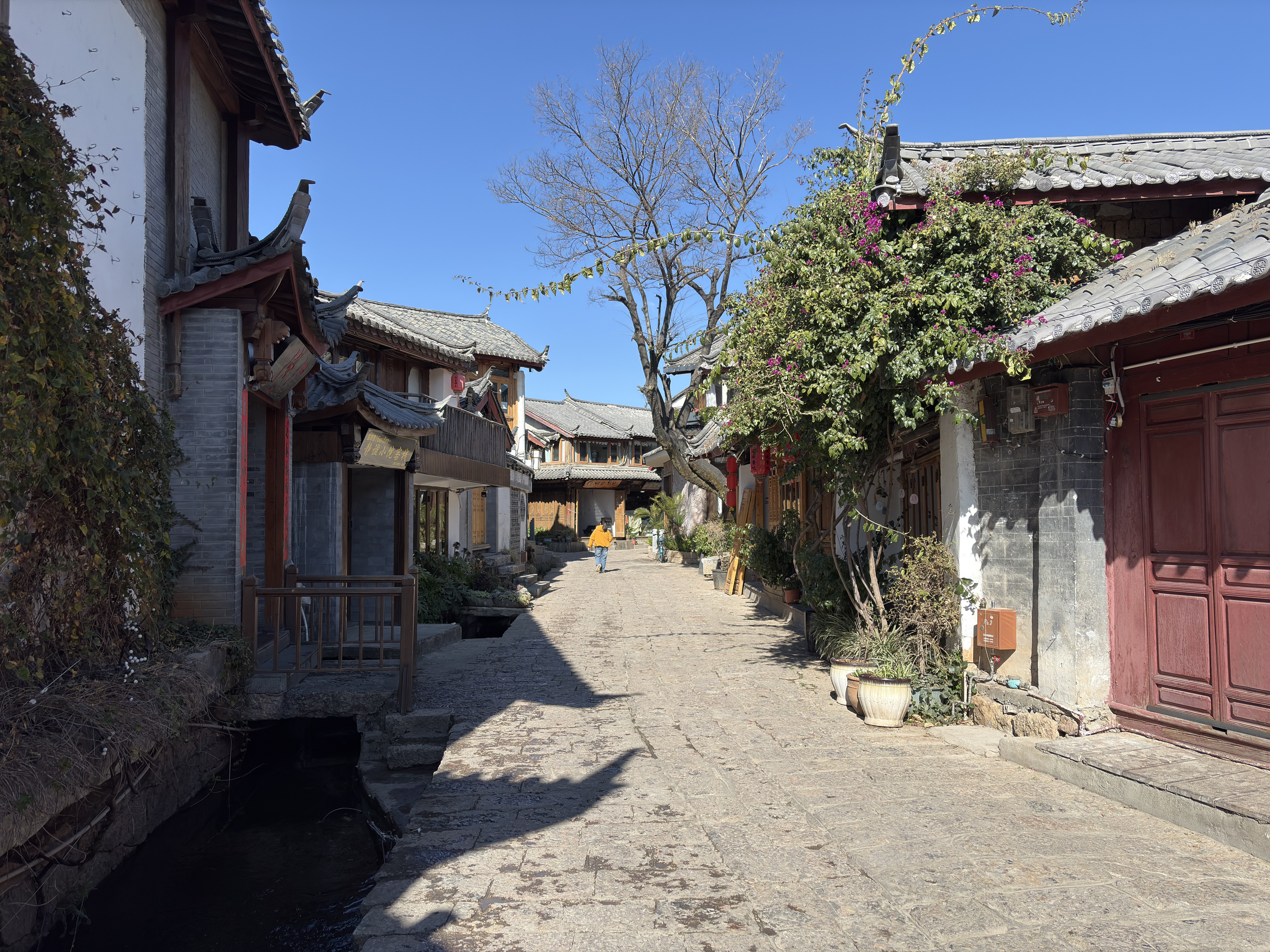 Picture China Lijiang 2026-01 643 - Recreation Lijiang