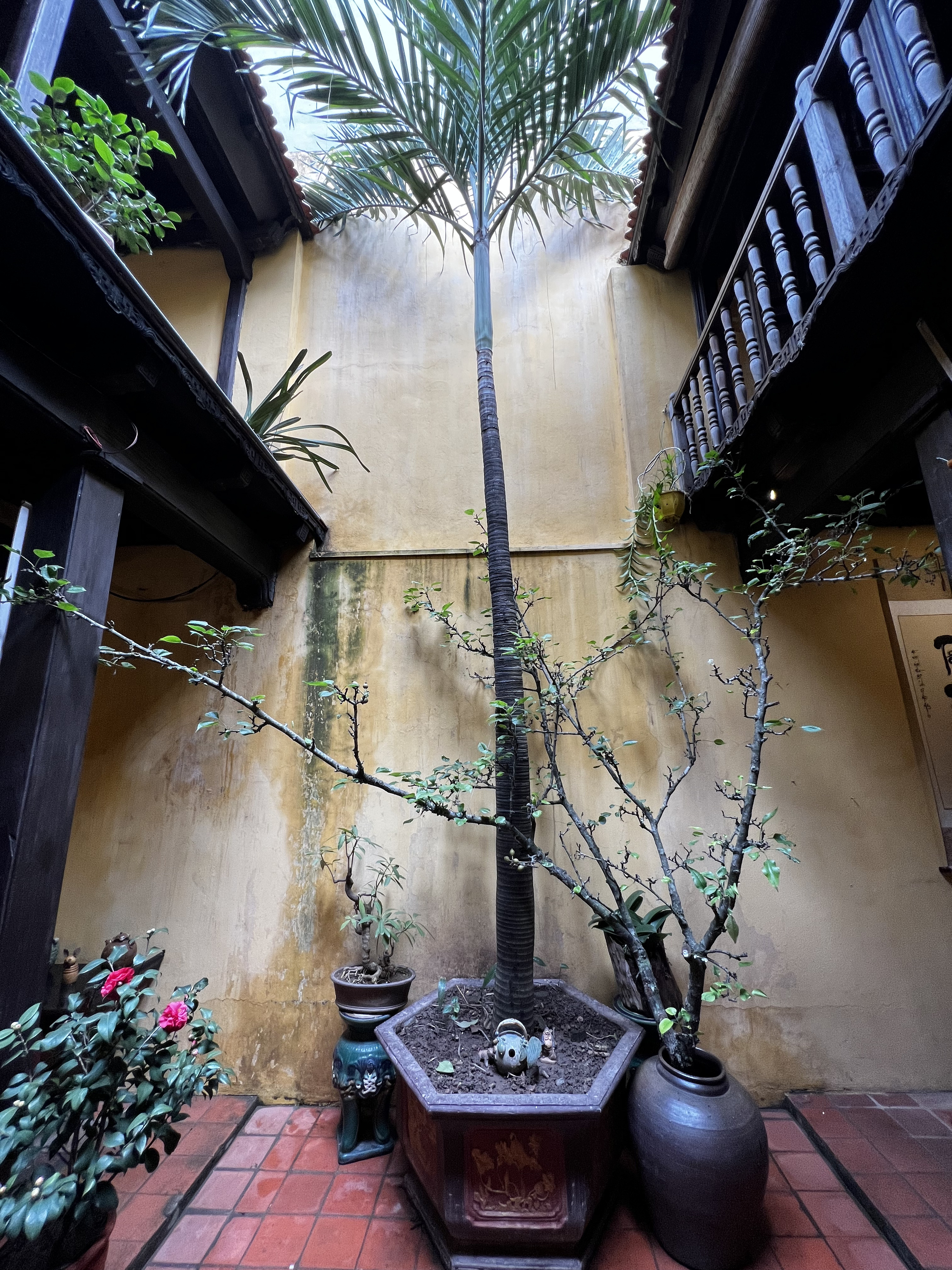 Picture Vietnam Hanoi Heritage House 2024-01 27 - Discovery Heritage House