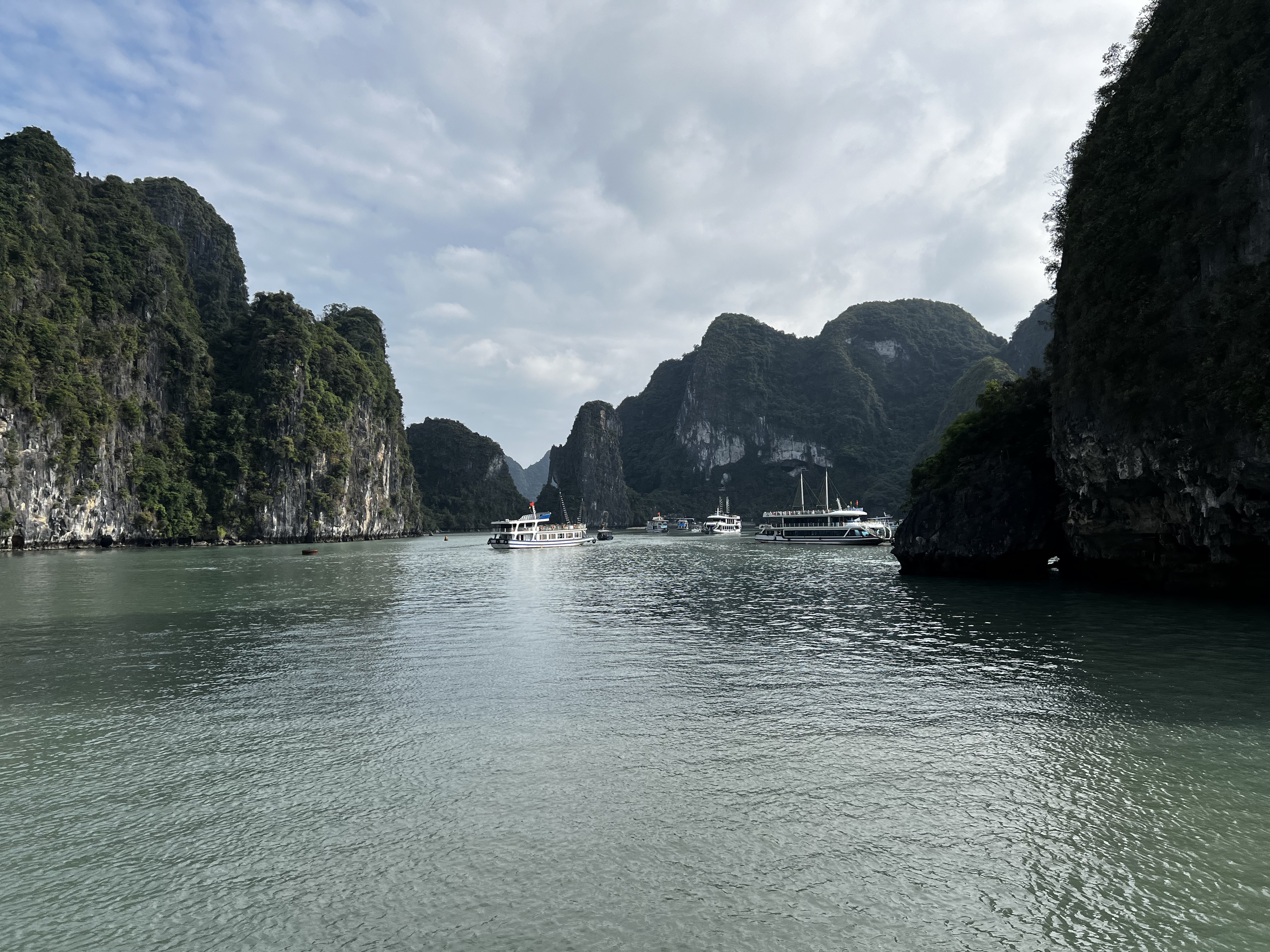 Picture Vietnam Ha Long Bay 2024-01 119 - Tour Ha Long Bay