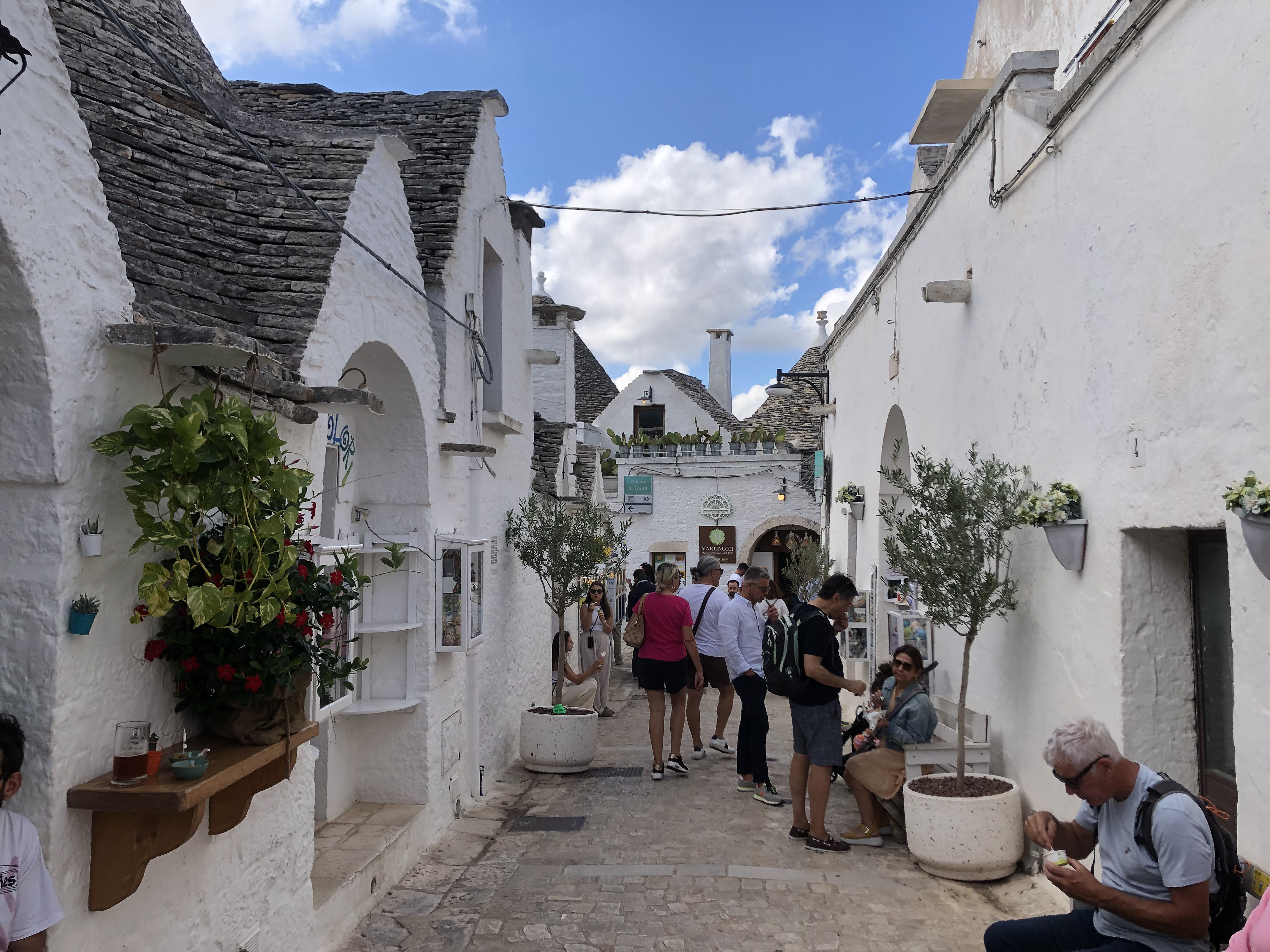 Picture Italy Alberobello 2024-09 133 - Tour Alberobello