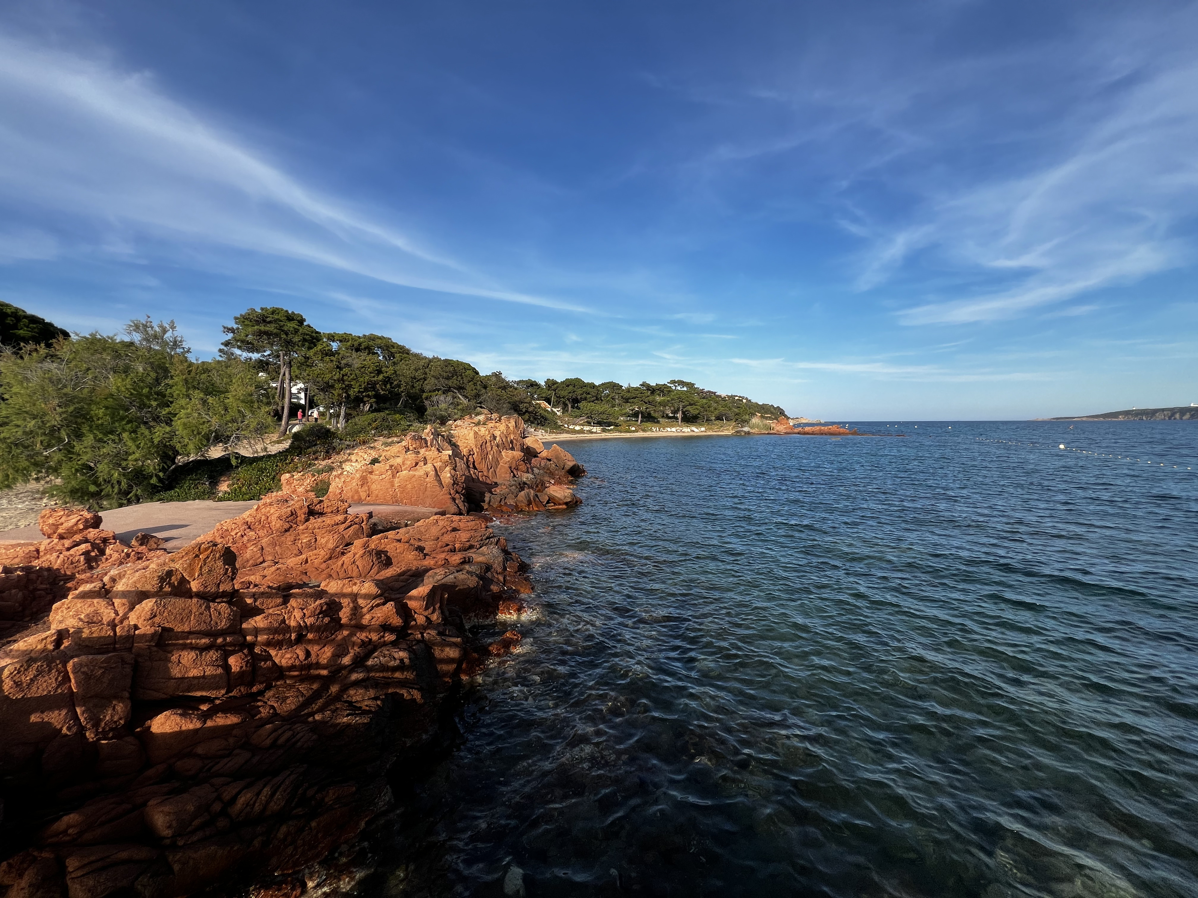 Picture France Corsica ⁨Cala Rossa⁩ 2024-05 6 - Around ⁨Cala Rossa⁩