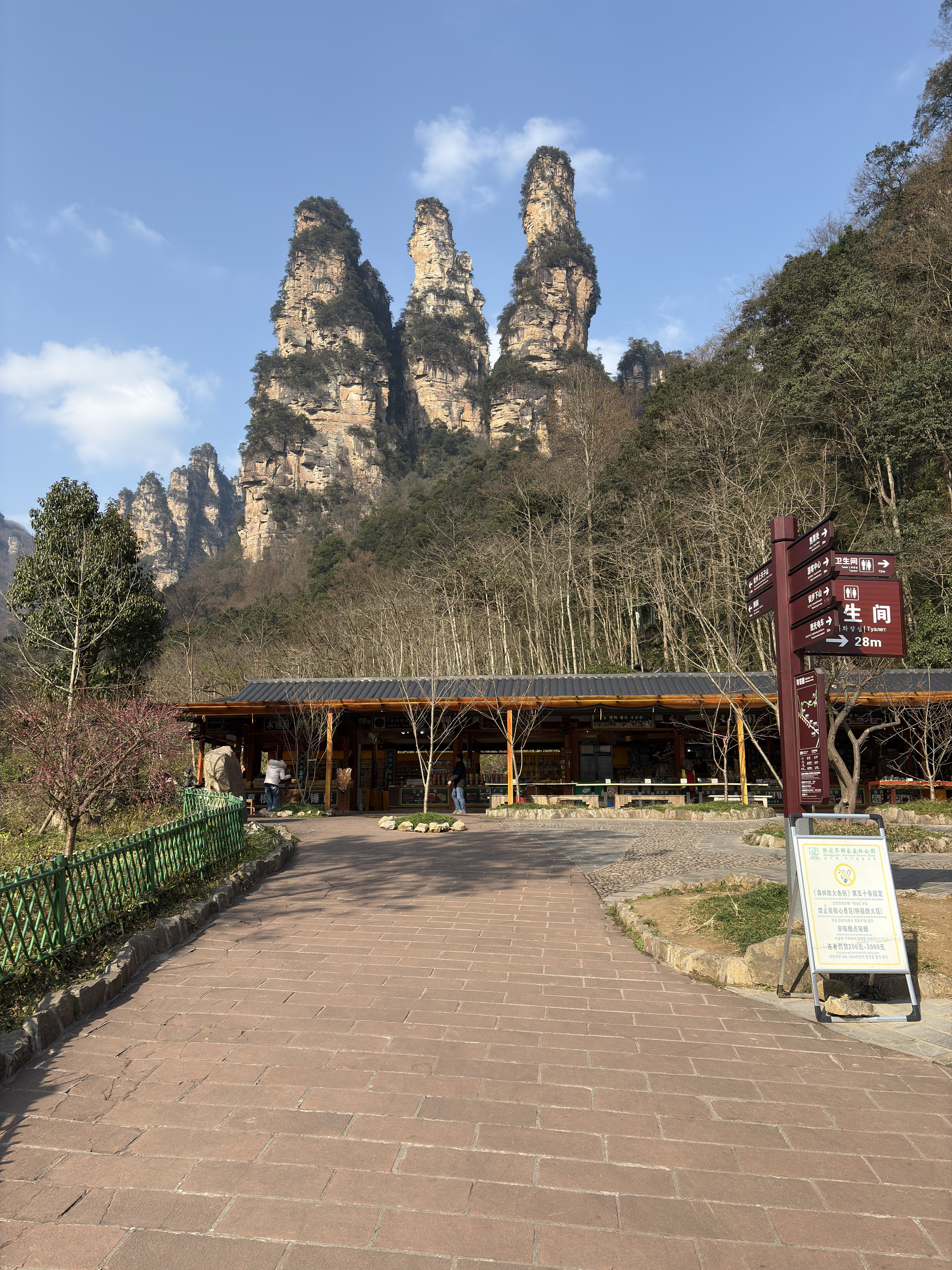 Picture China Zhangjiajie Tianzi Mountrain 2026-01 234 - Center Tianzi Mountrain