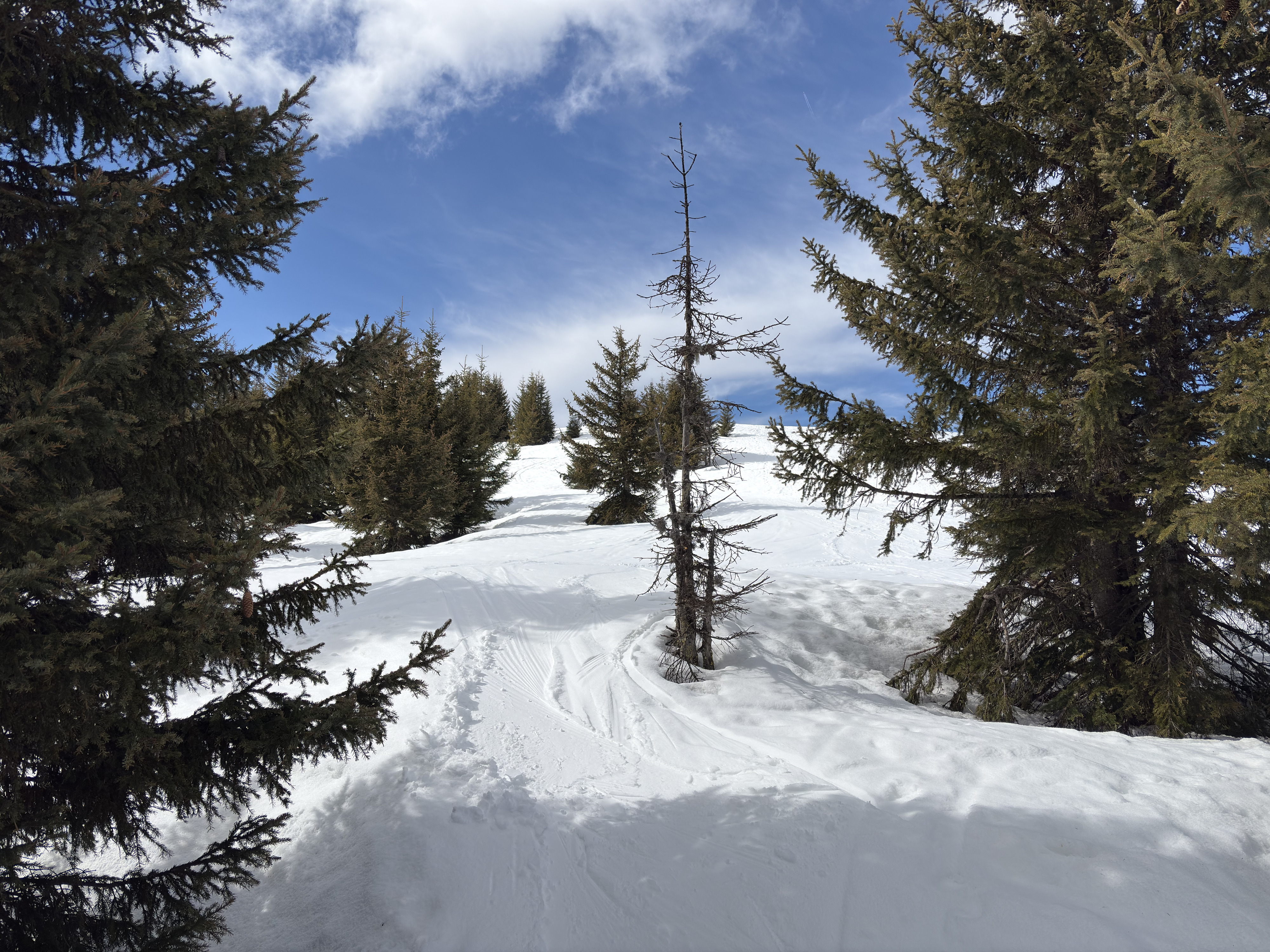 Picture France Praz sur Arly 2025-02 67 - Tours Praz sur Arly