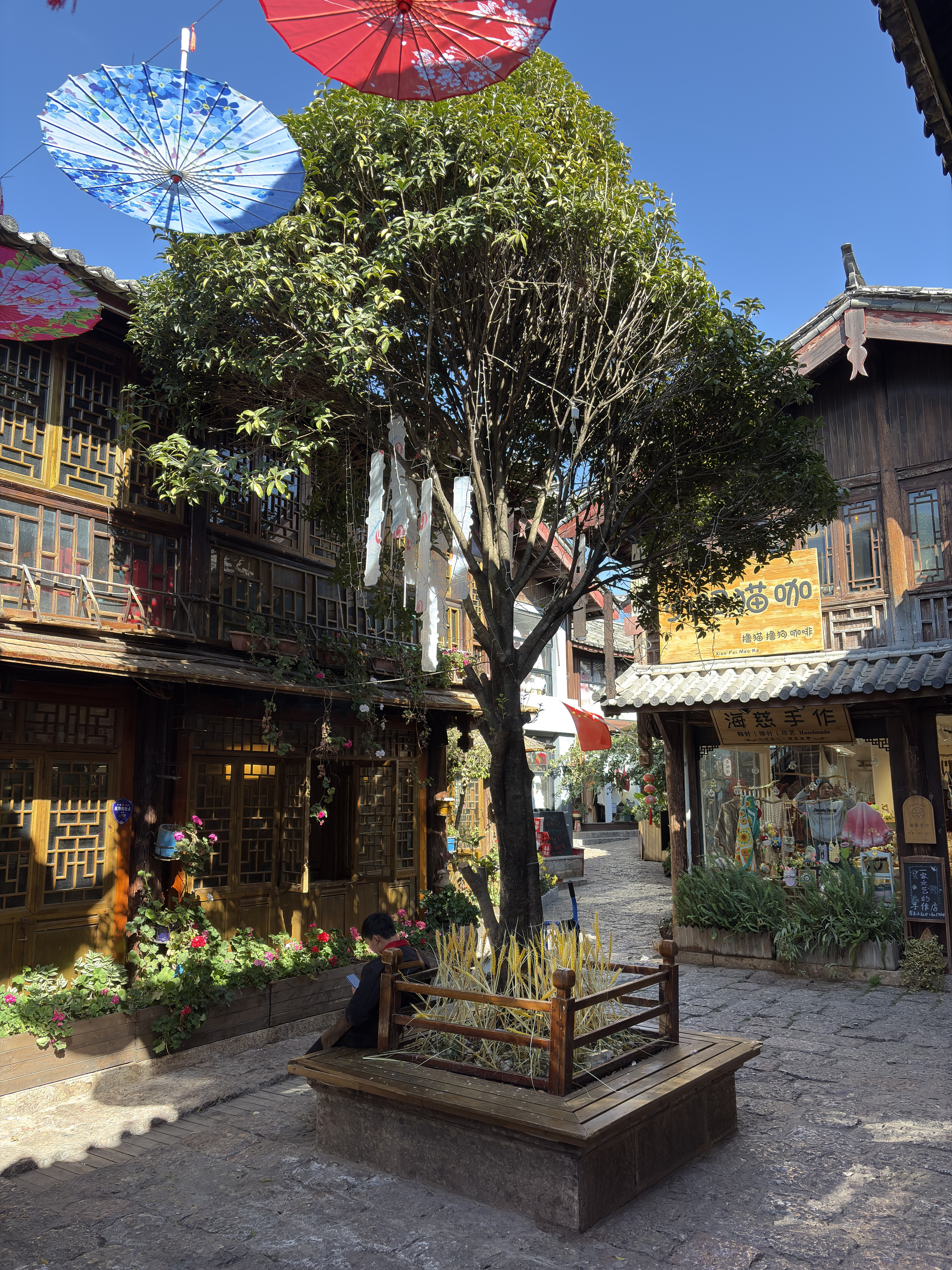 Picture China Lijiang 2026-01 345 - Tours Lijiang