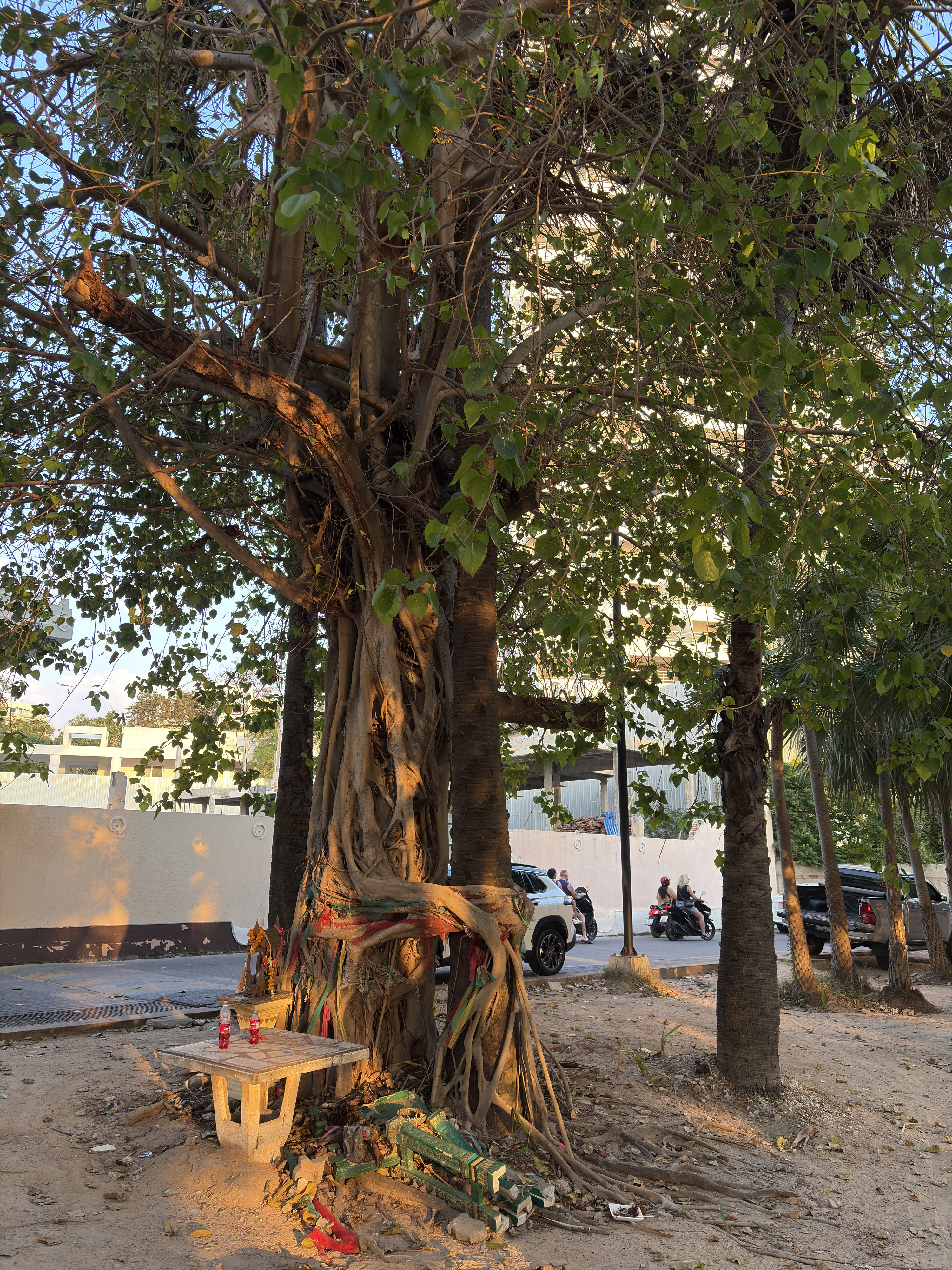 Picture Thailand Pattaya Dongtan beach 2025-12 32 - Tour Dongtan beach