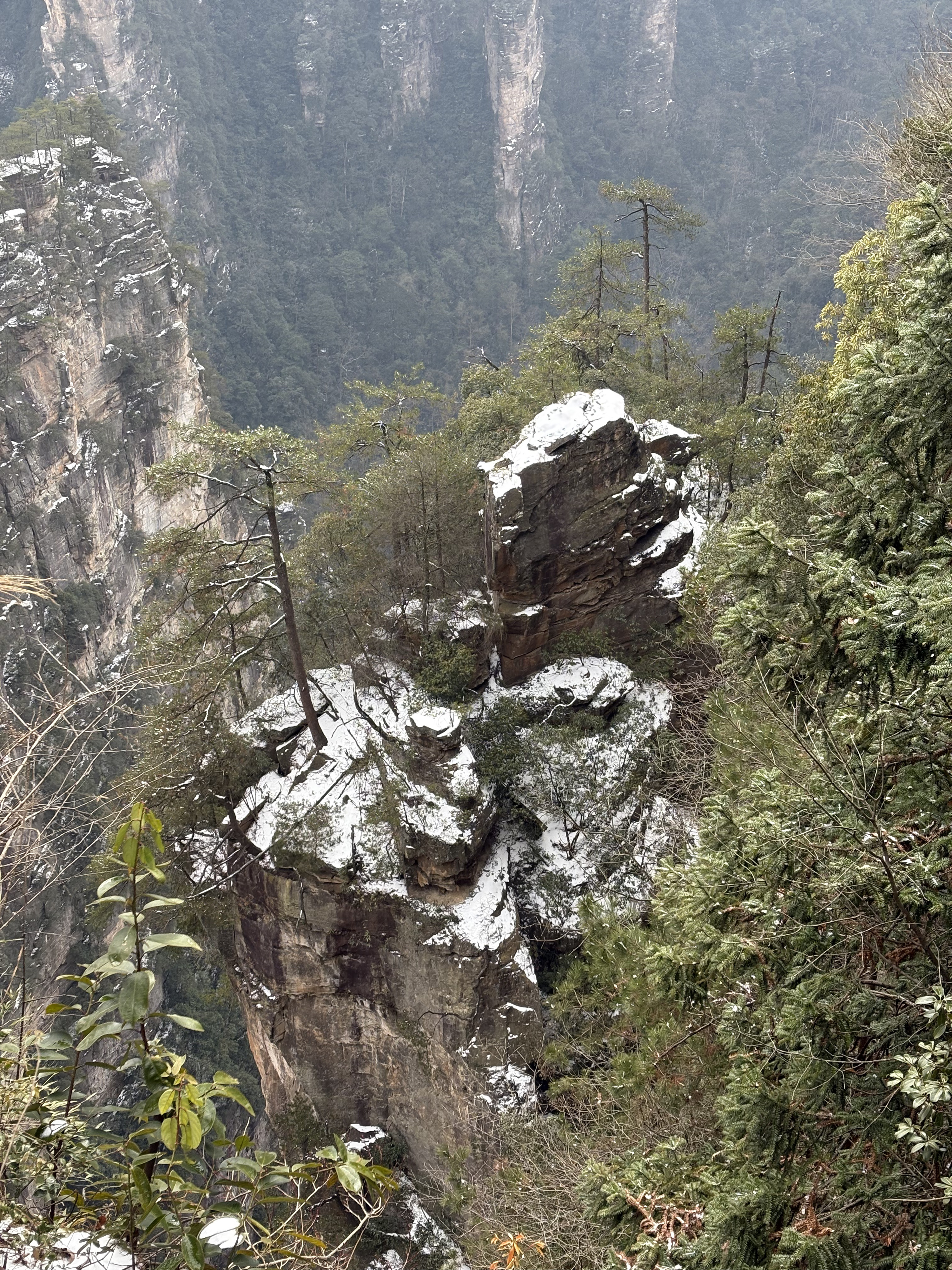 Picture China Zhangjiajie 2026-01 84 - Tours Zhangjiajie