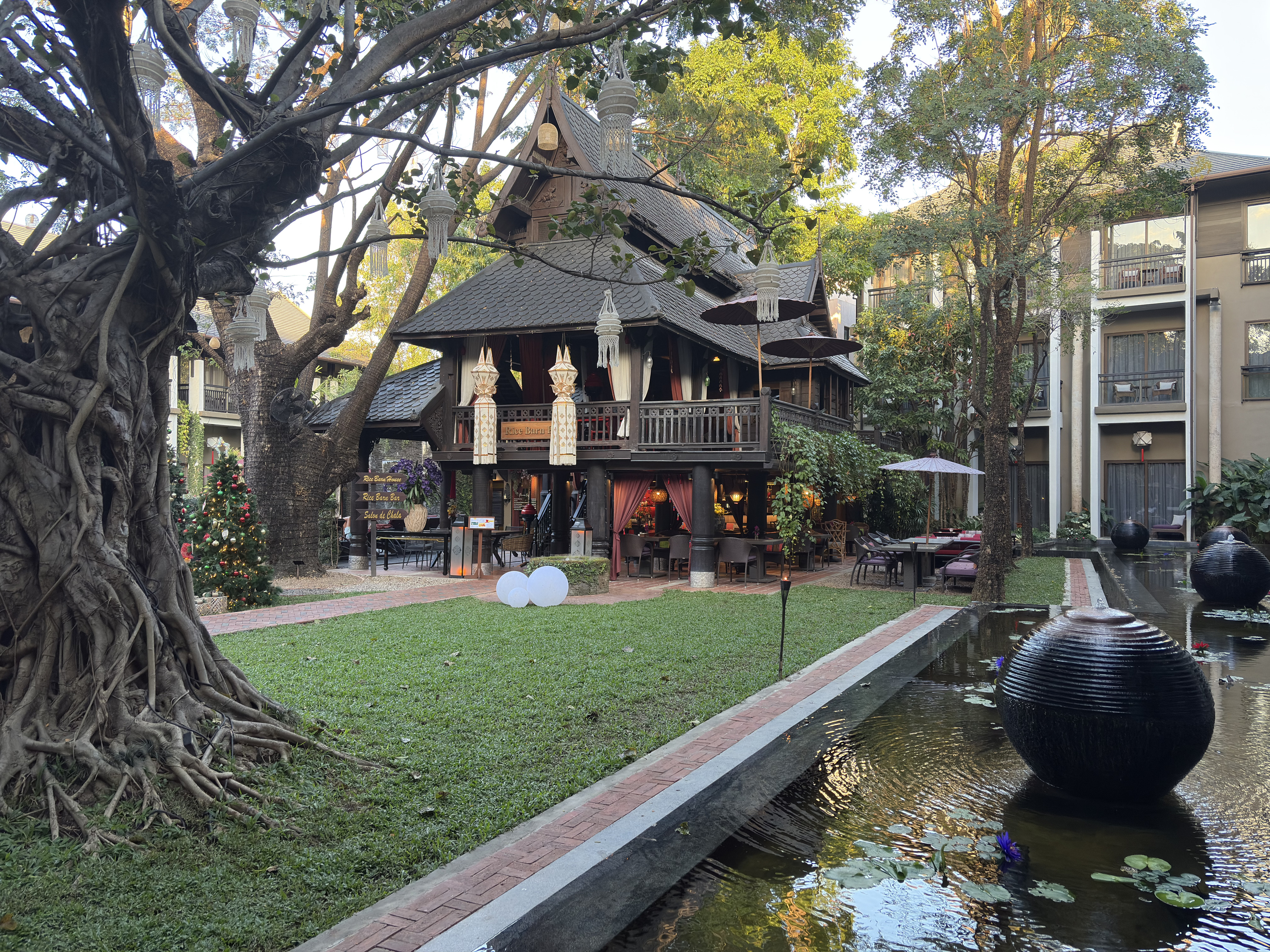 Picture Thailand Chiang Mai 2026-01 7 - Recreation Chiang Mai