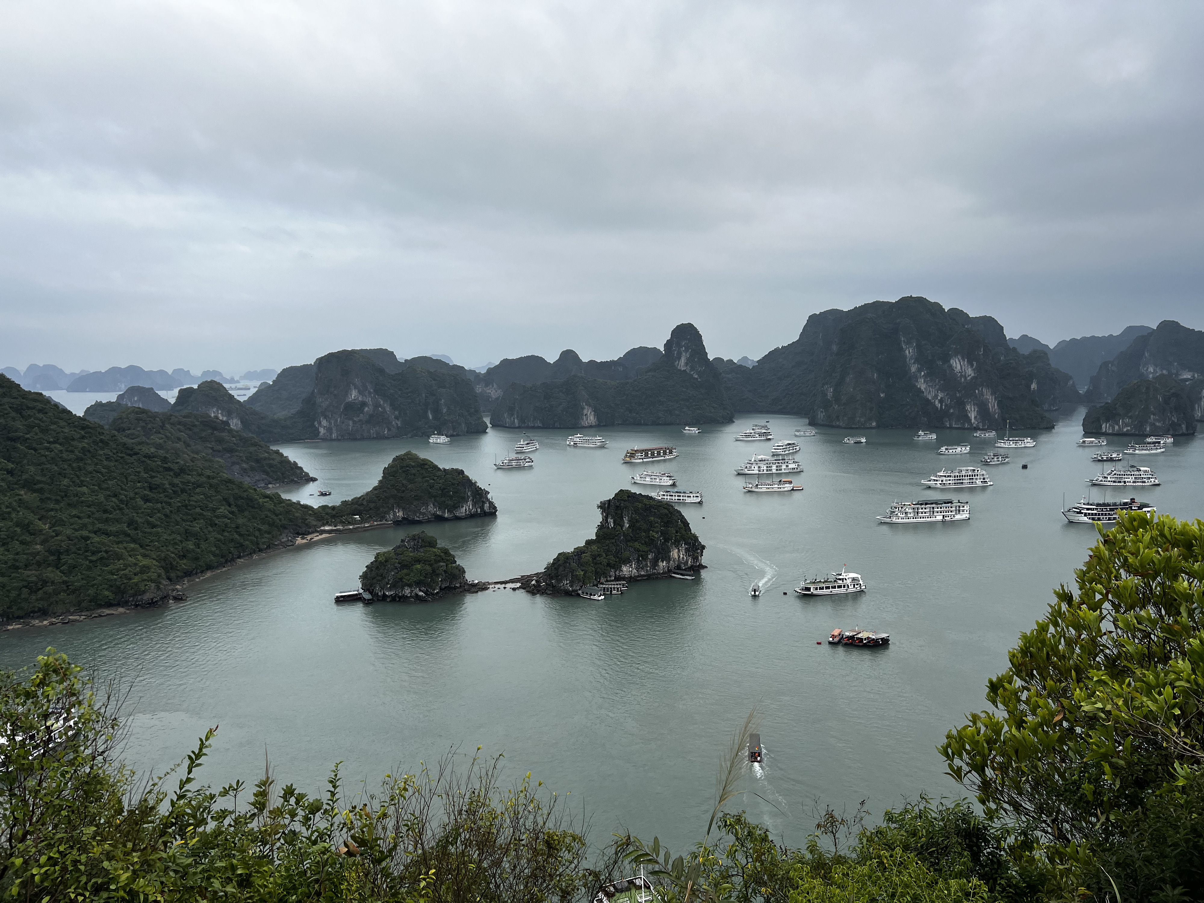 Picture Vietnam Ha Long Bay 2024-01 79 - Discovery Ha Long Bay