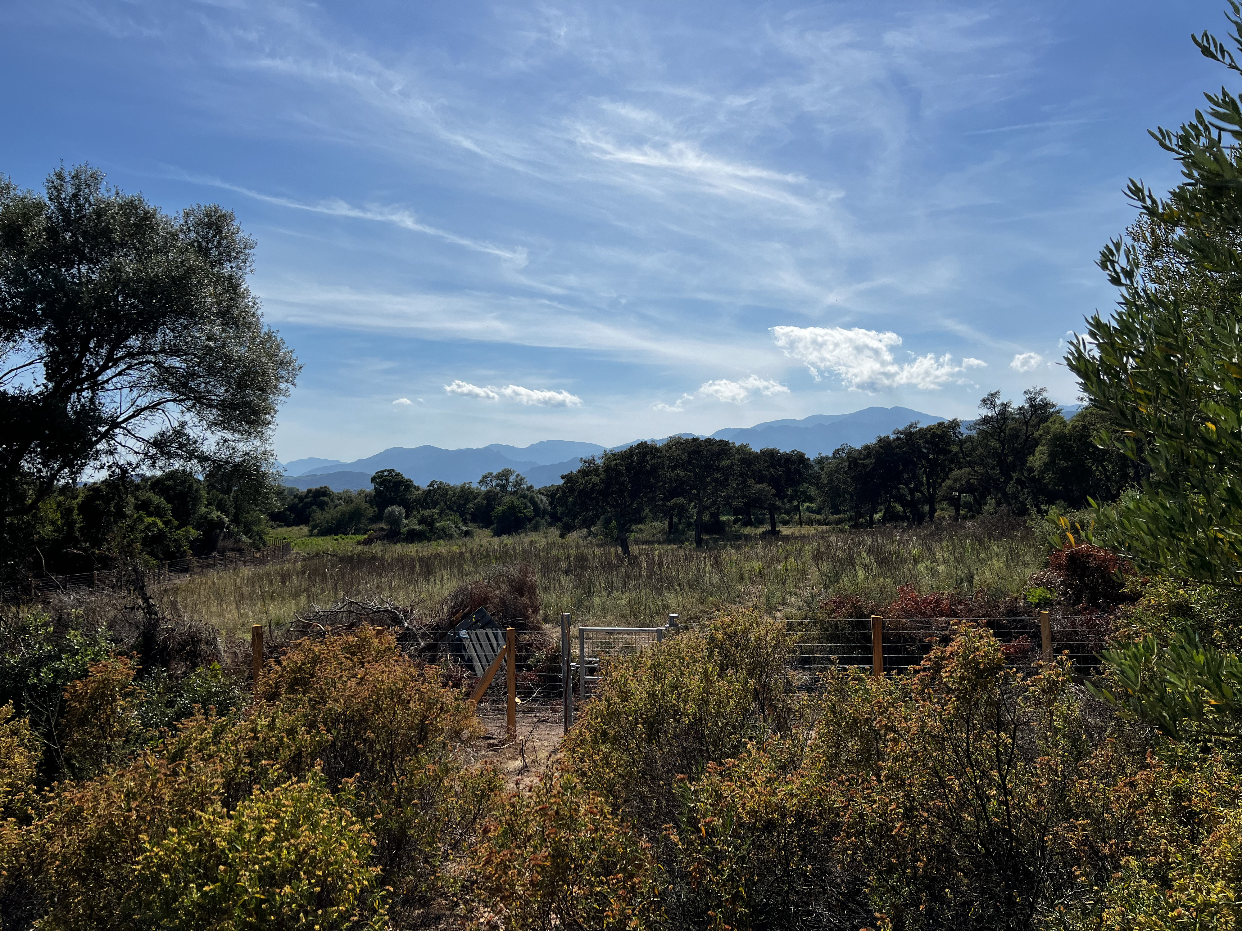 Picture France Corsica Ovu Santu Beach⁩ 2024-05 9 - Around Ovu Santu Beach⁩