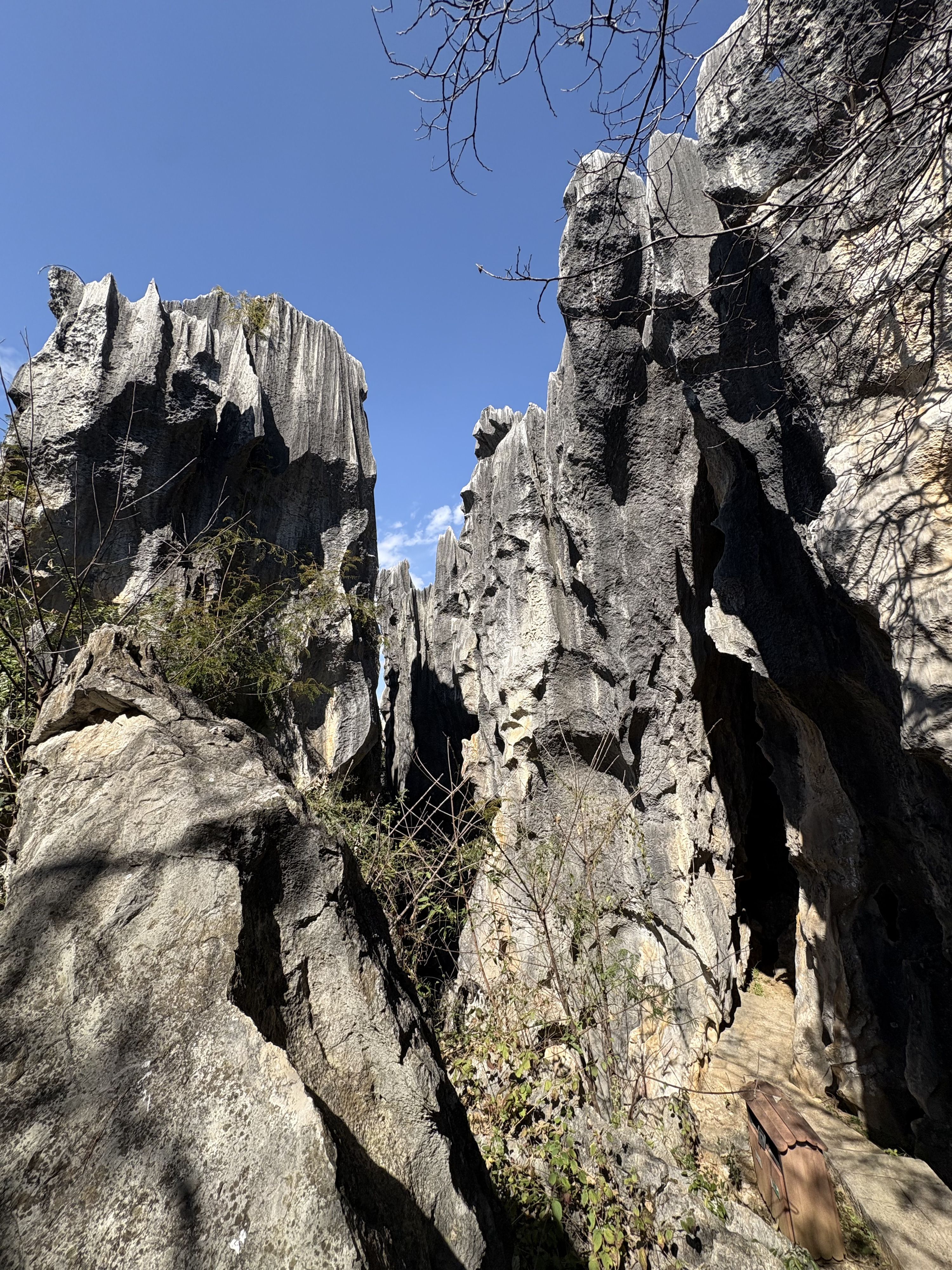 Picture China Shilin Stone Forest 2026-01 185 - Center Shilin Stone Forest