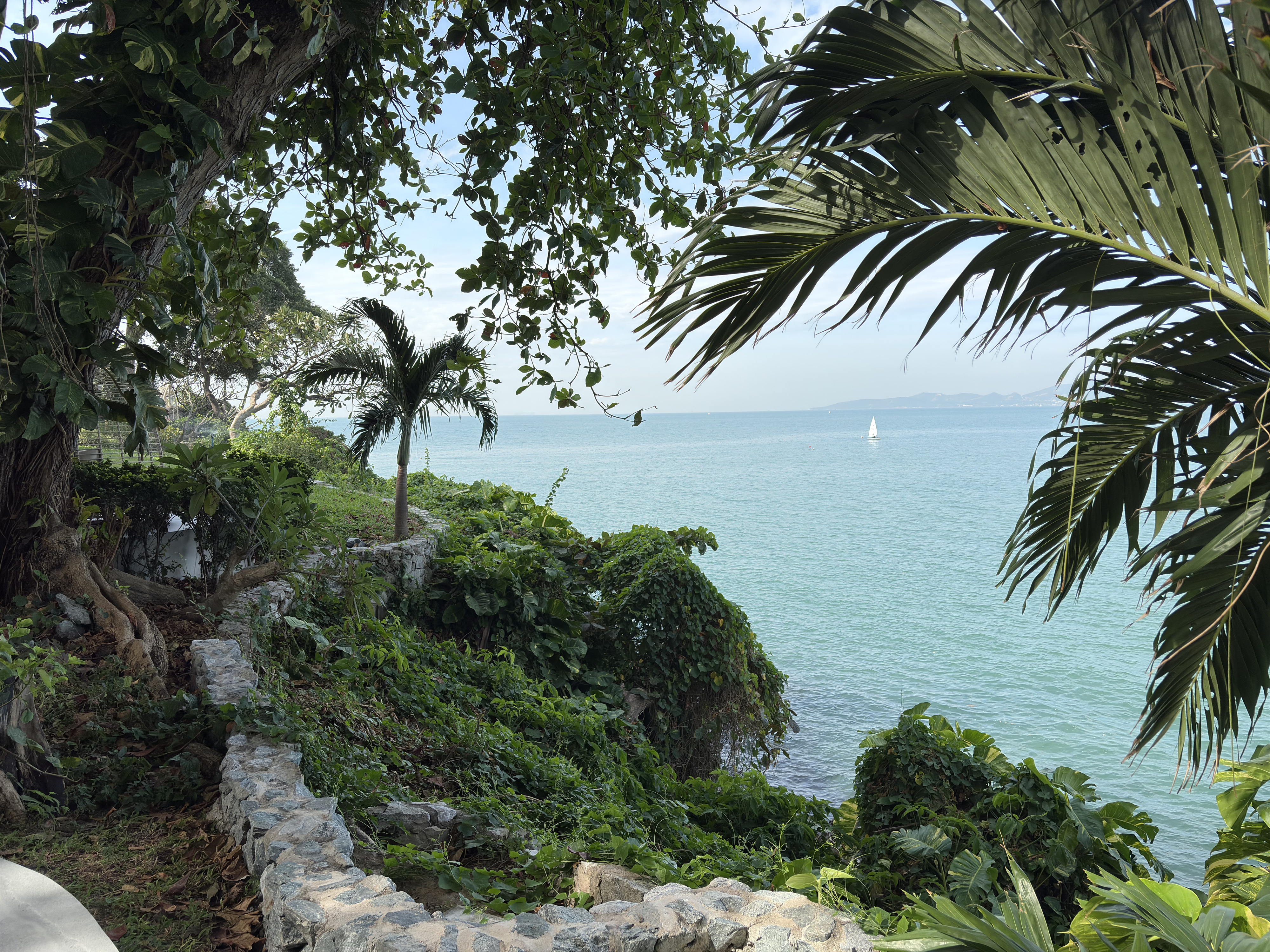 Picture Thailand Pattaya 2024-12 12 - Tour Pattaya