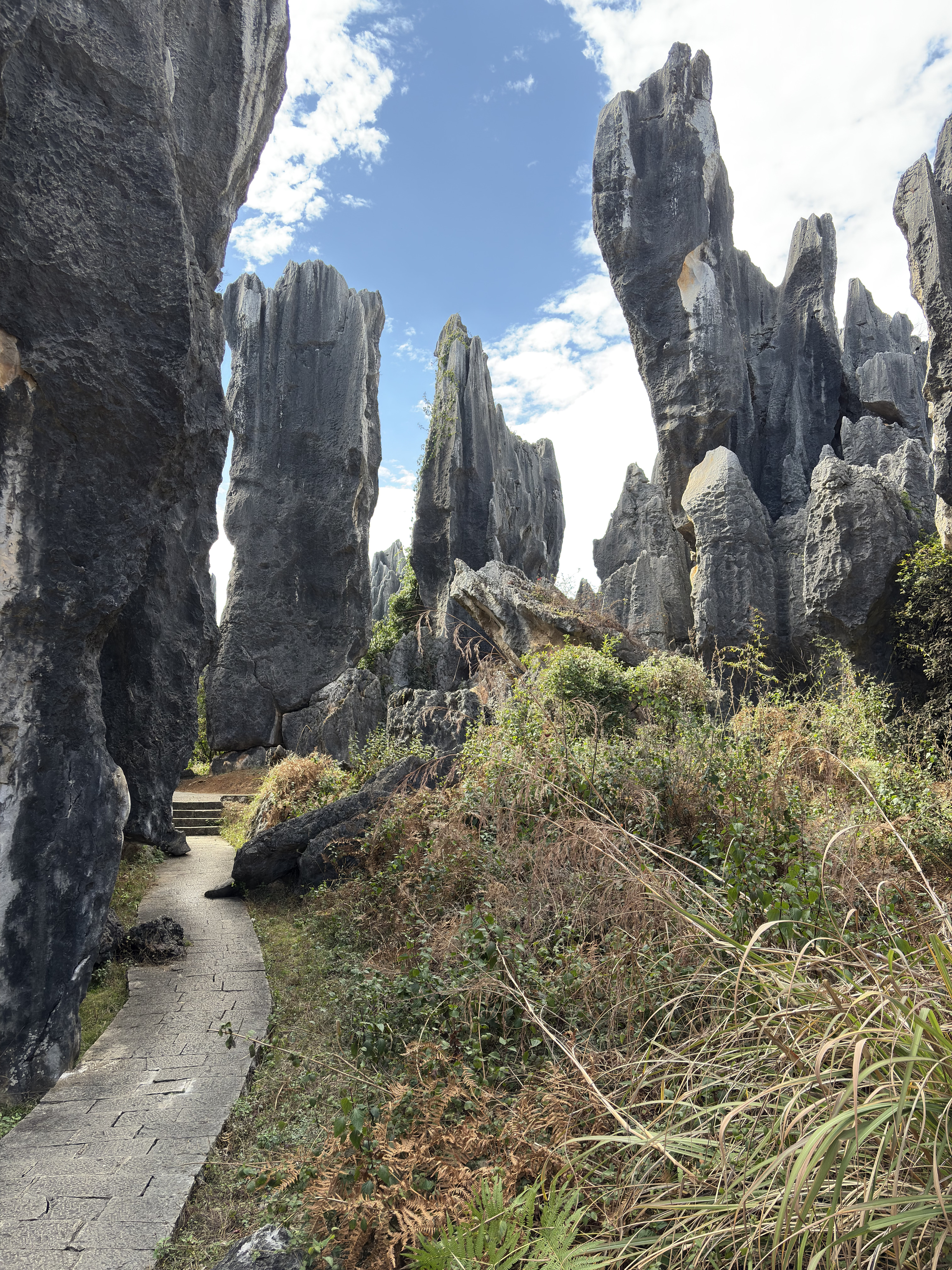 Picture China Shilin Stone Forest 2026-01 264 - Center Shilin Stone Forest