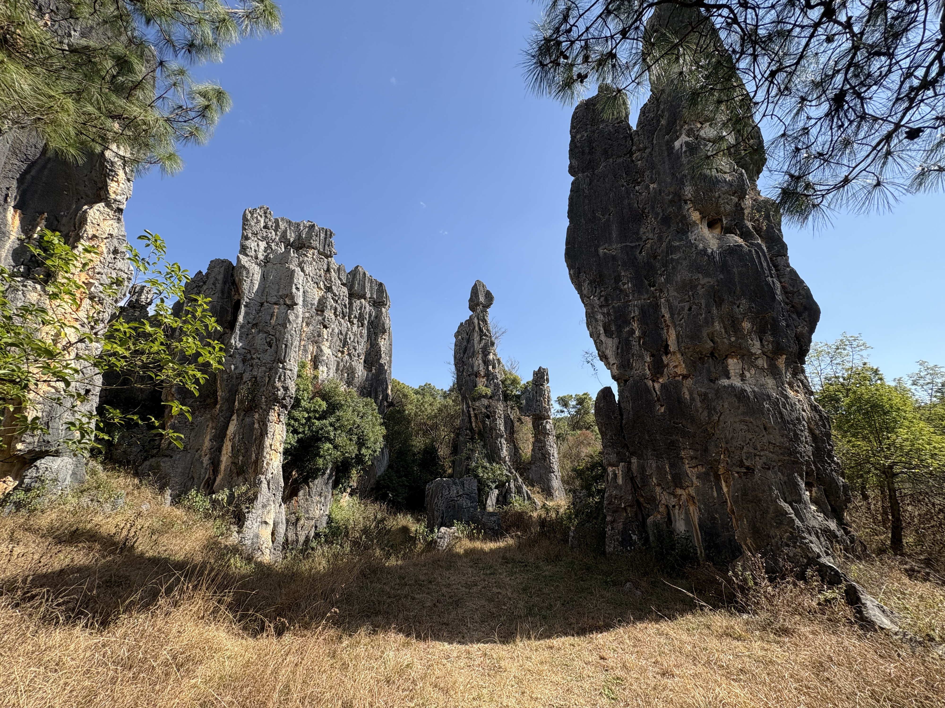 Picture China Shilin Stone Forest 2026-01 61 - Tour Shilin Stone Forest