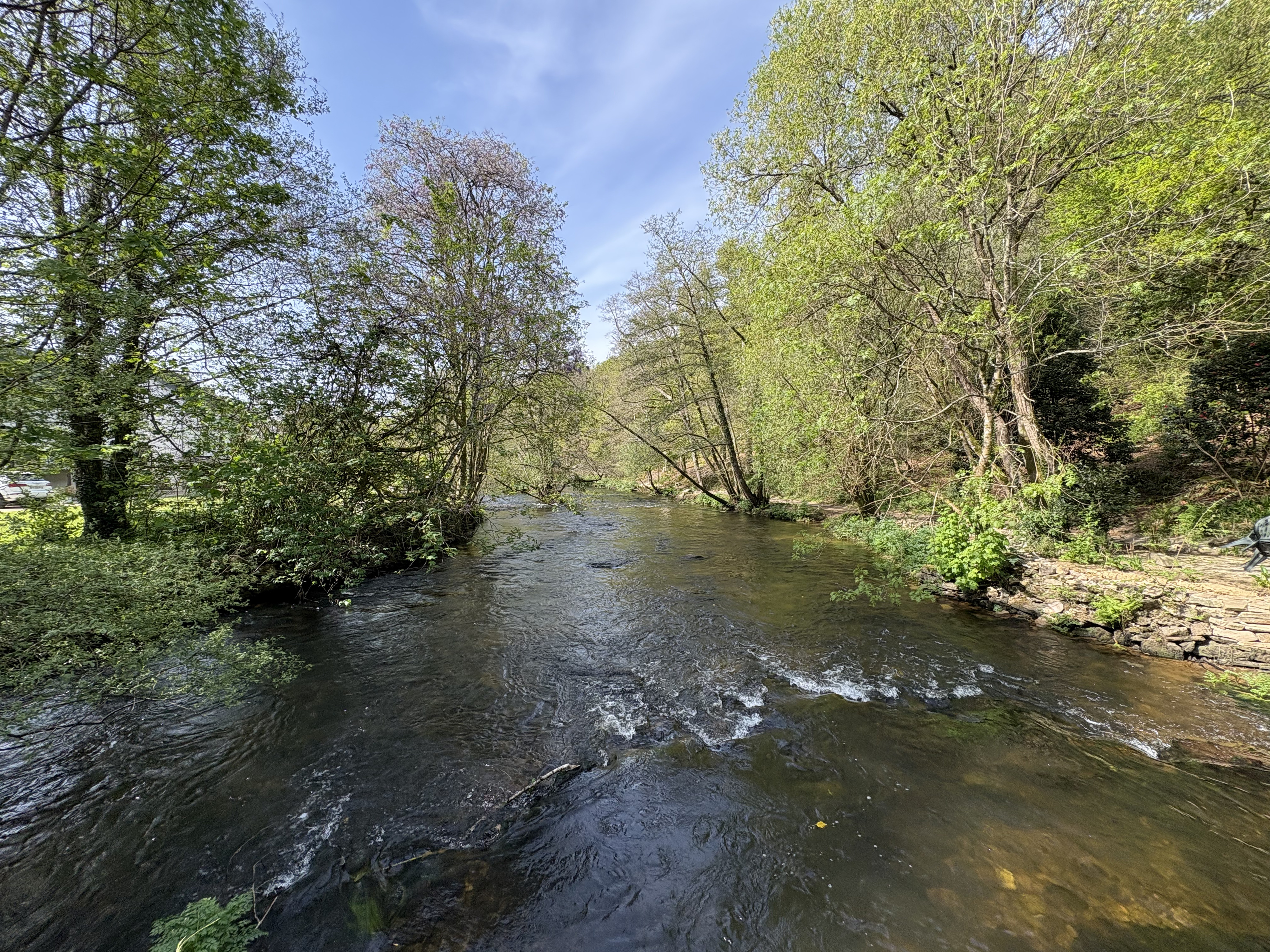 Picture France Pont Aven 2026-04 99 - Recreation Pont Aven