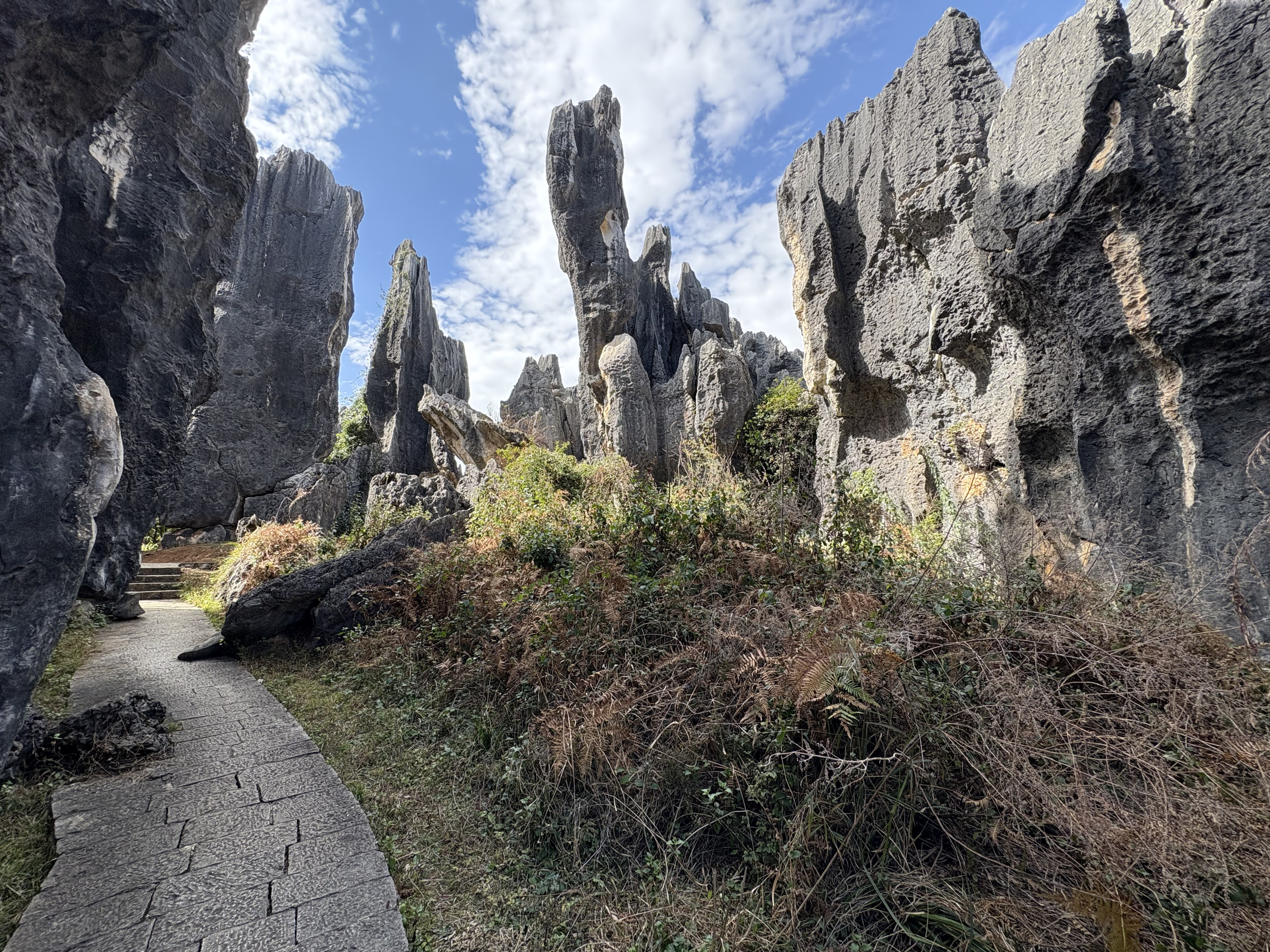 Picture China Shilin Stone Forest 2026-01 184 - Center Shilin Stone Forest