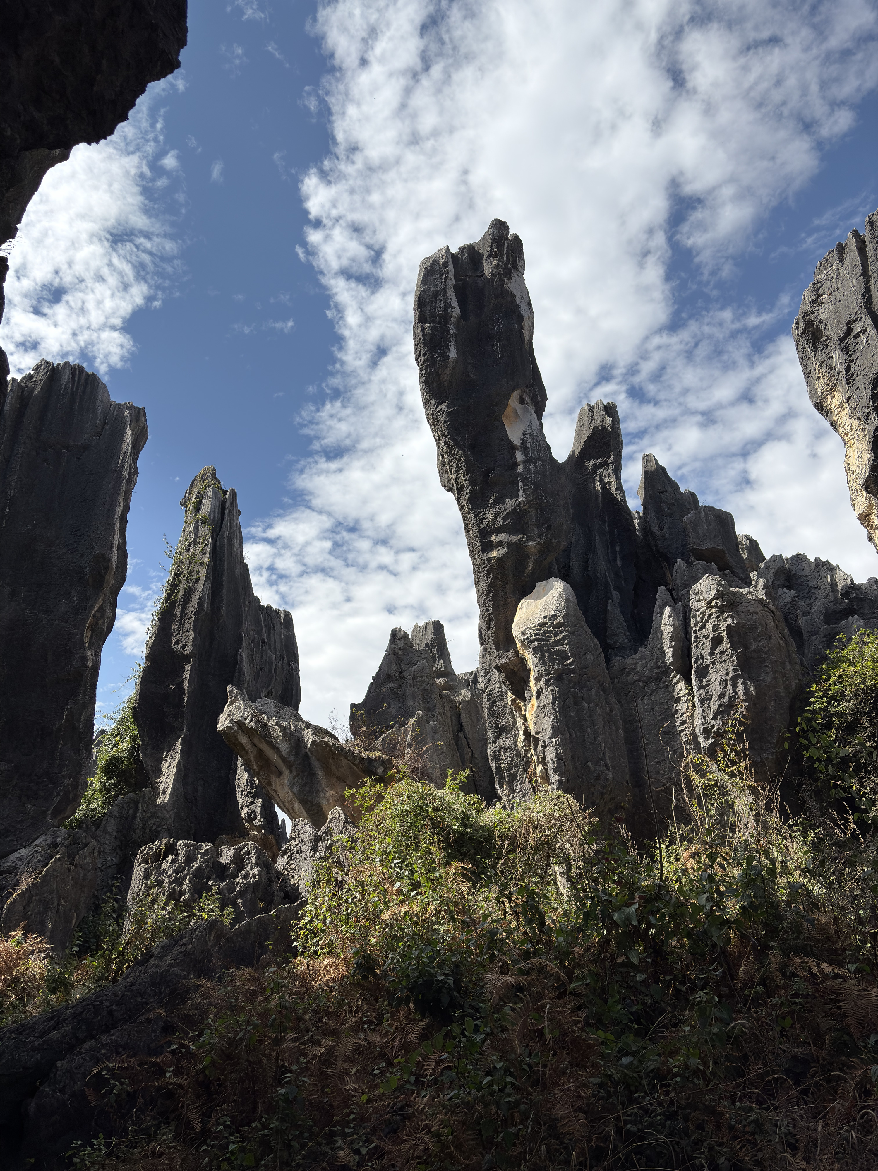 Picture China Shilin Stone Forest 2026-01 104 - Journey Shilin Stone Forest