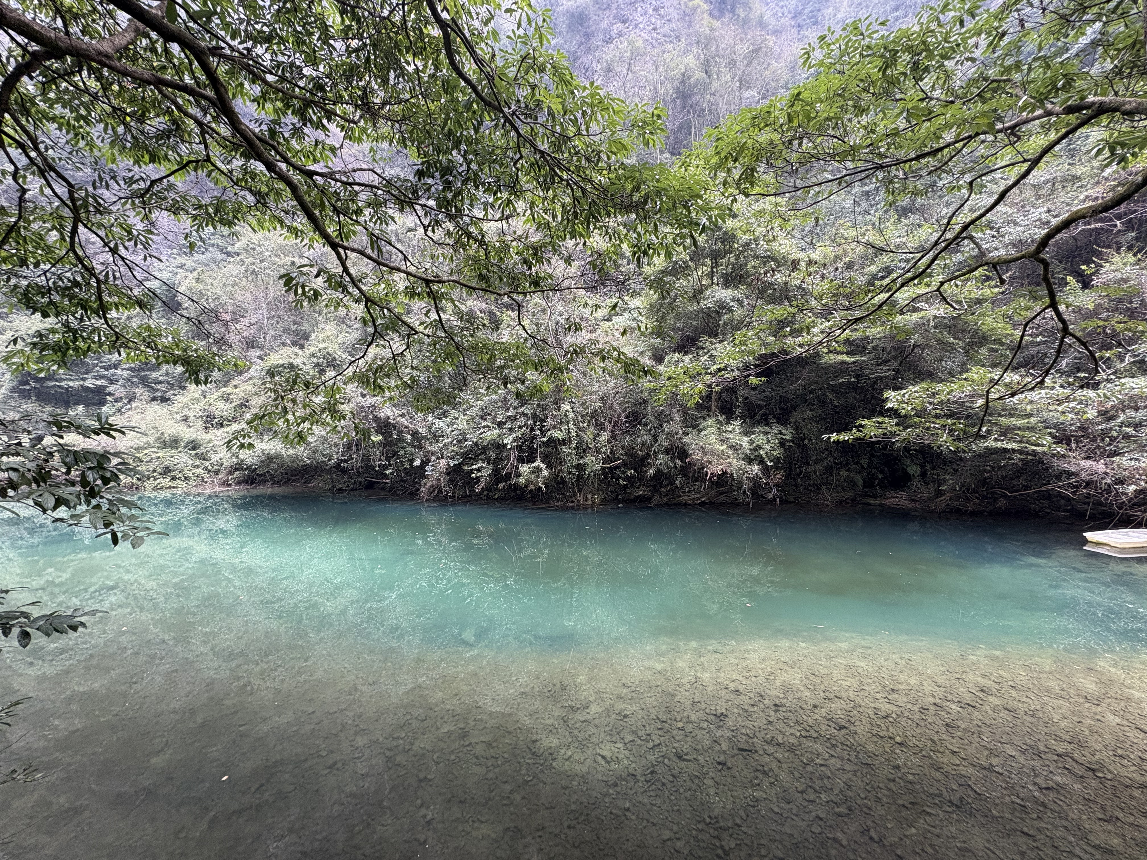 Picture China Zhangjiajie Grand Canion 2026-01 46 - Discovery Grand Canion