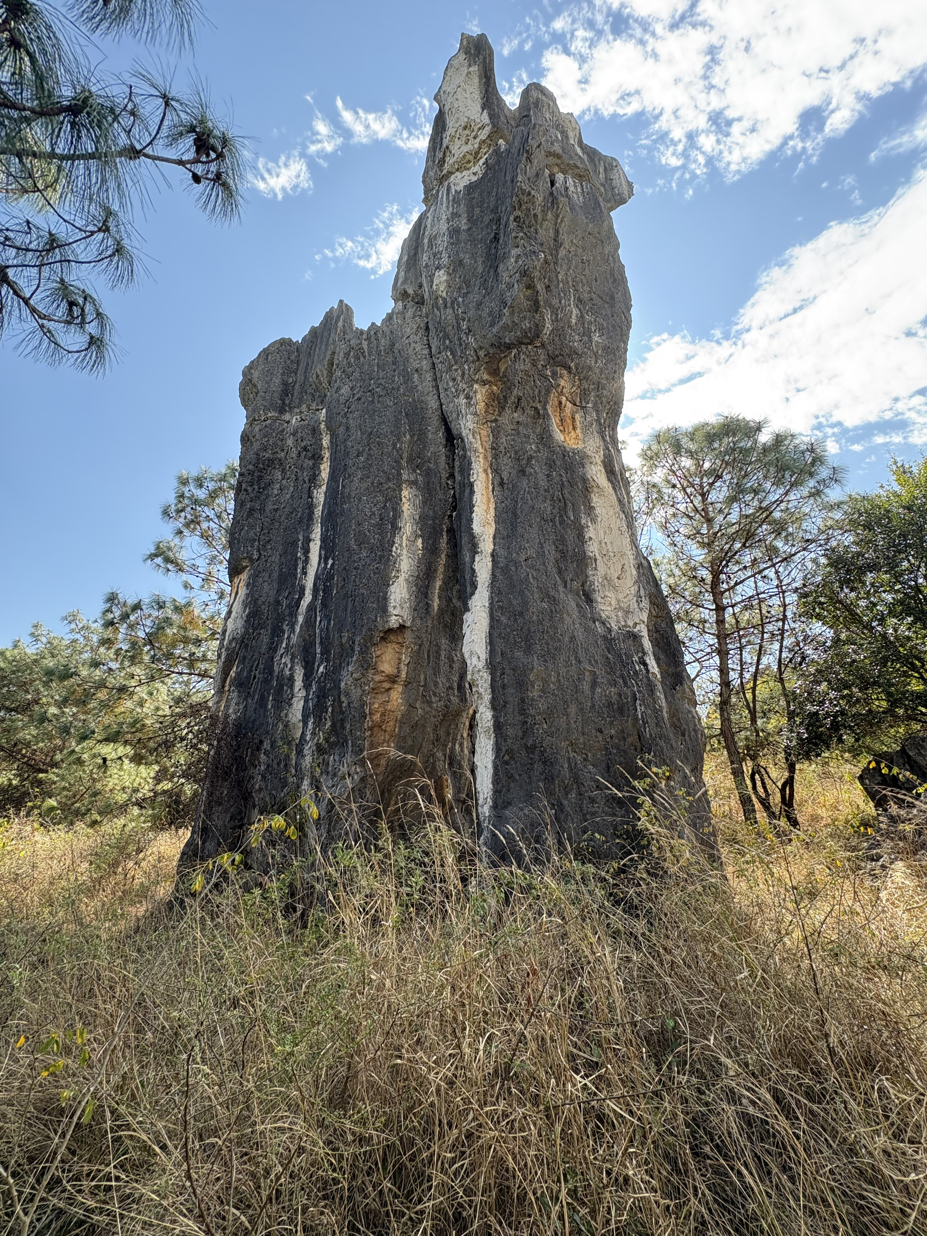 Picture China Shilin Stone Forest 2026-01 344 - History Shilin Stone Forest