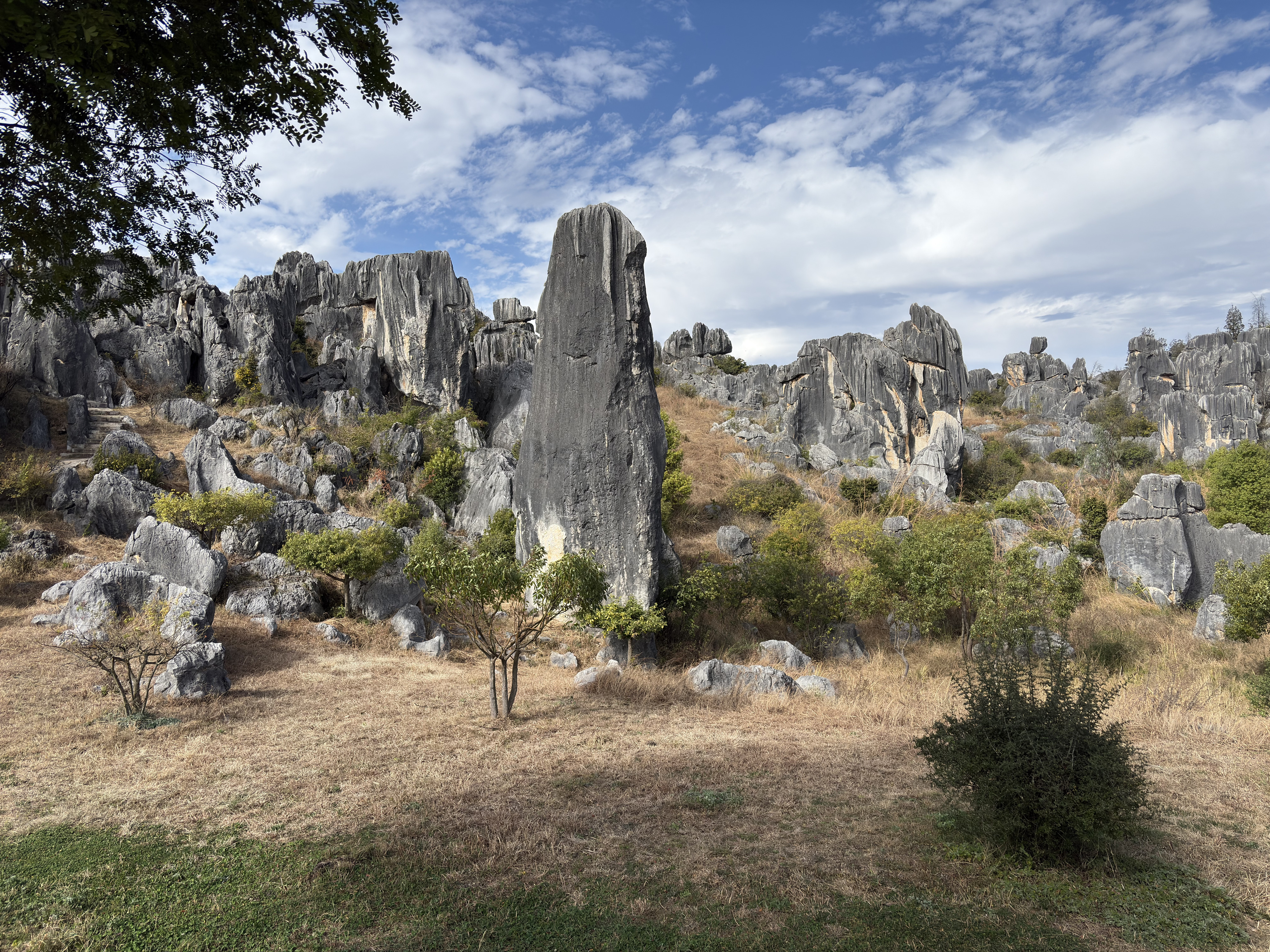 Picture China Shilin Stone Forest 2026-01 234 - Tour Shilin Stone Forest