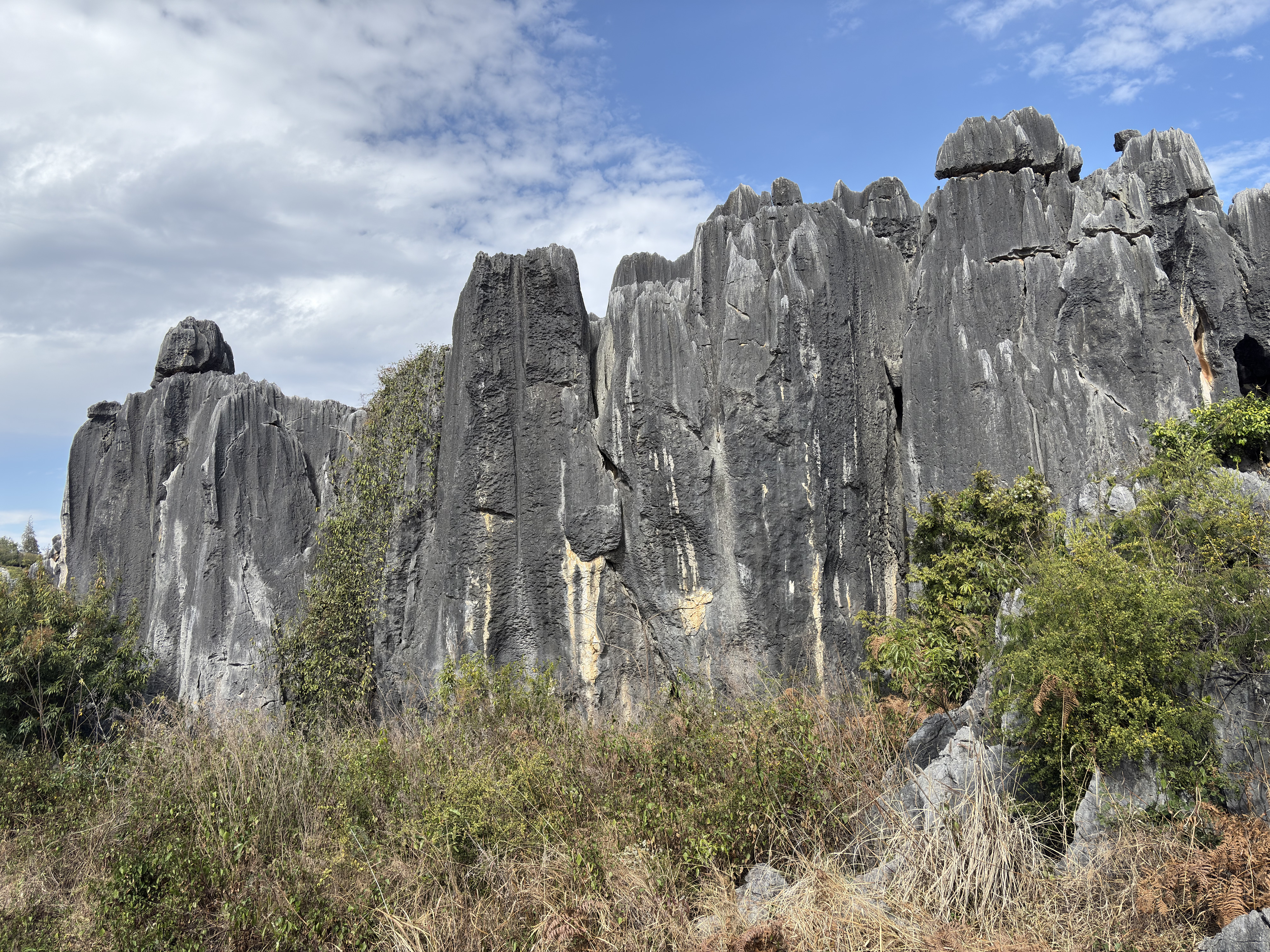 Picture China Shilin Stone Forest 2026-01 378 - Journey Shilin Stone Forest