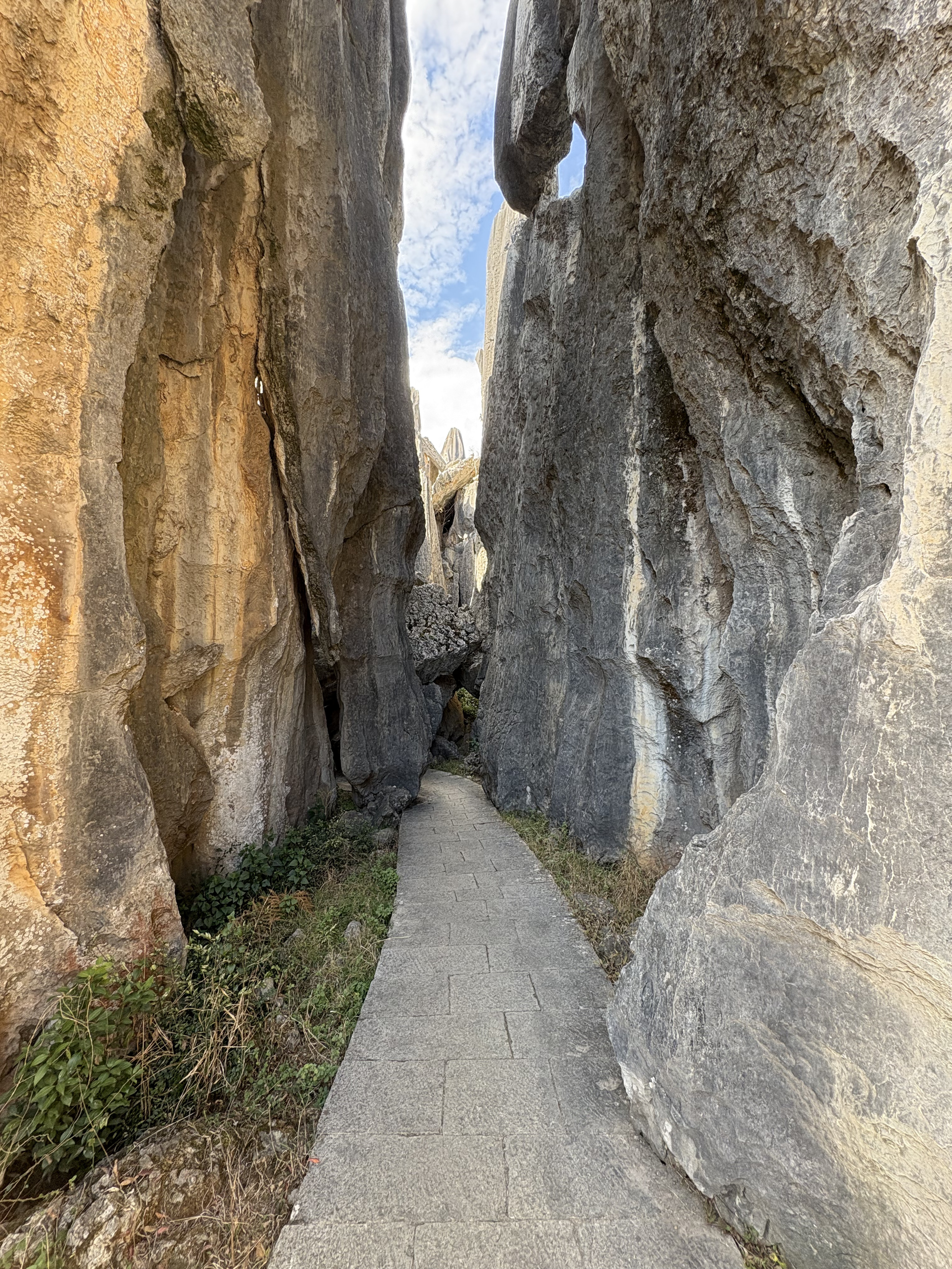 Picture China Shilin Stone Forest 2026-01 187 - Center Shilin Stone Forest