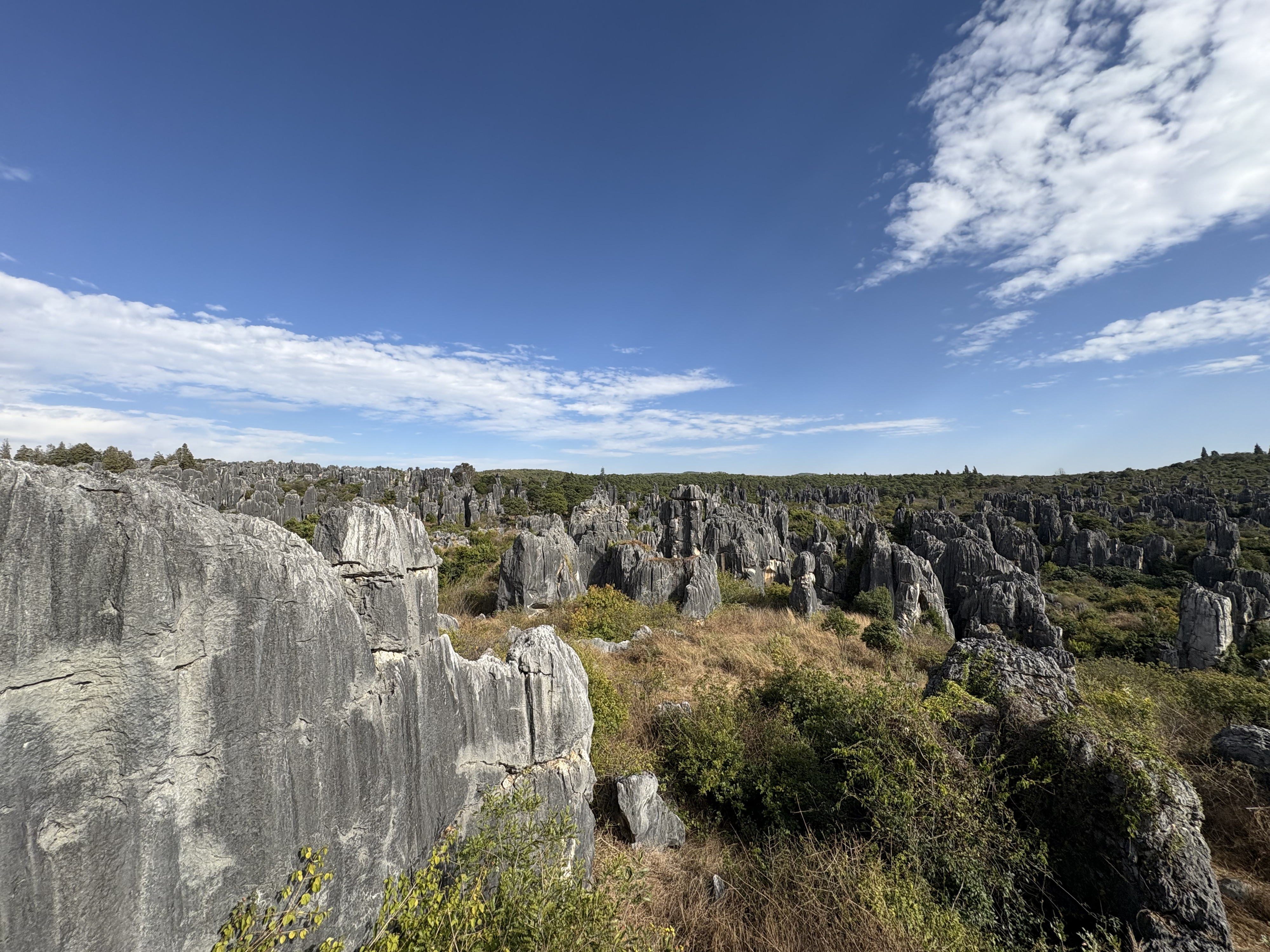 Picture China Shilin Stone Forest 2026-01 15 - Around Shilin Stone Forest