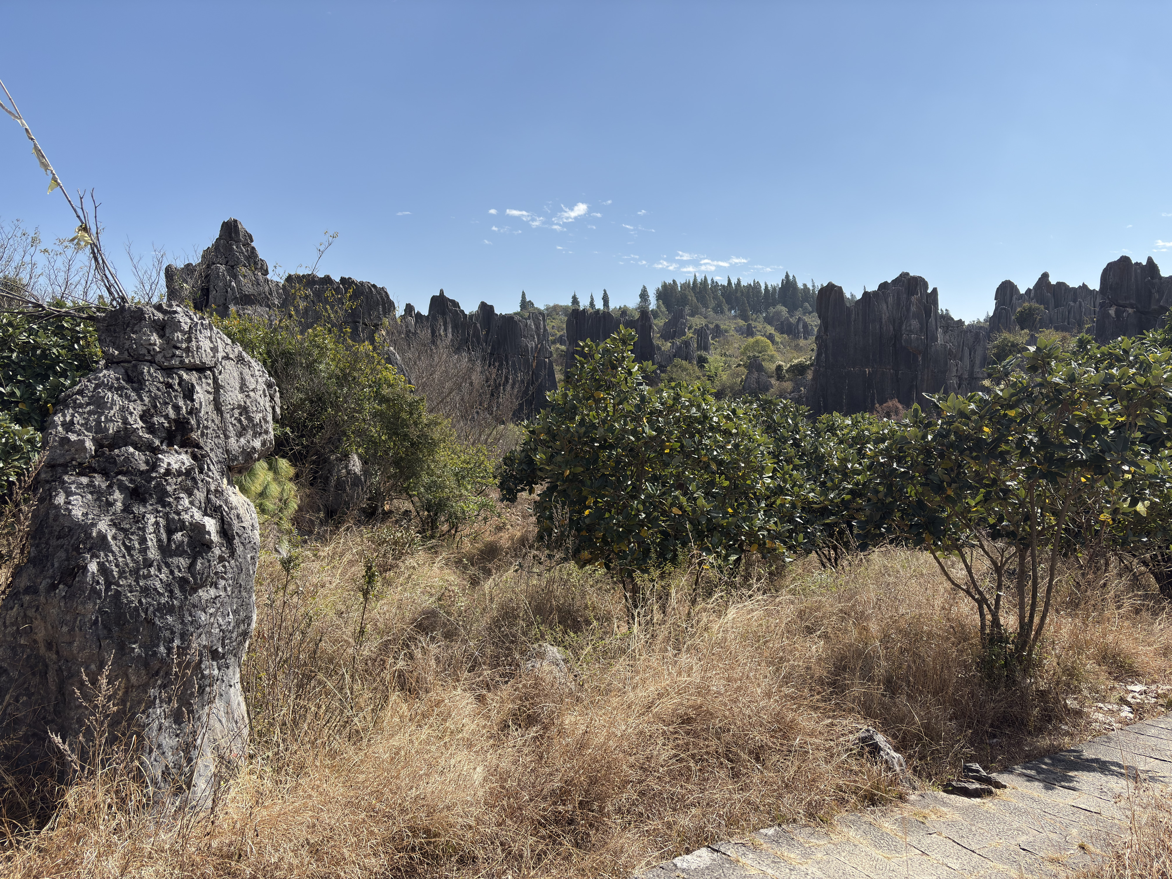 Picture China Shilin Stone Forest 2026-01 242 - Around Shilin Stone Forest