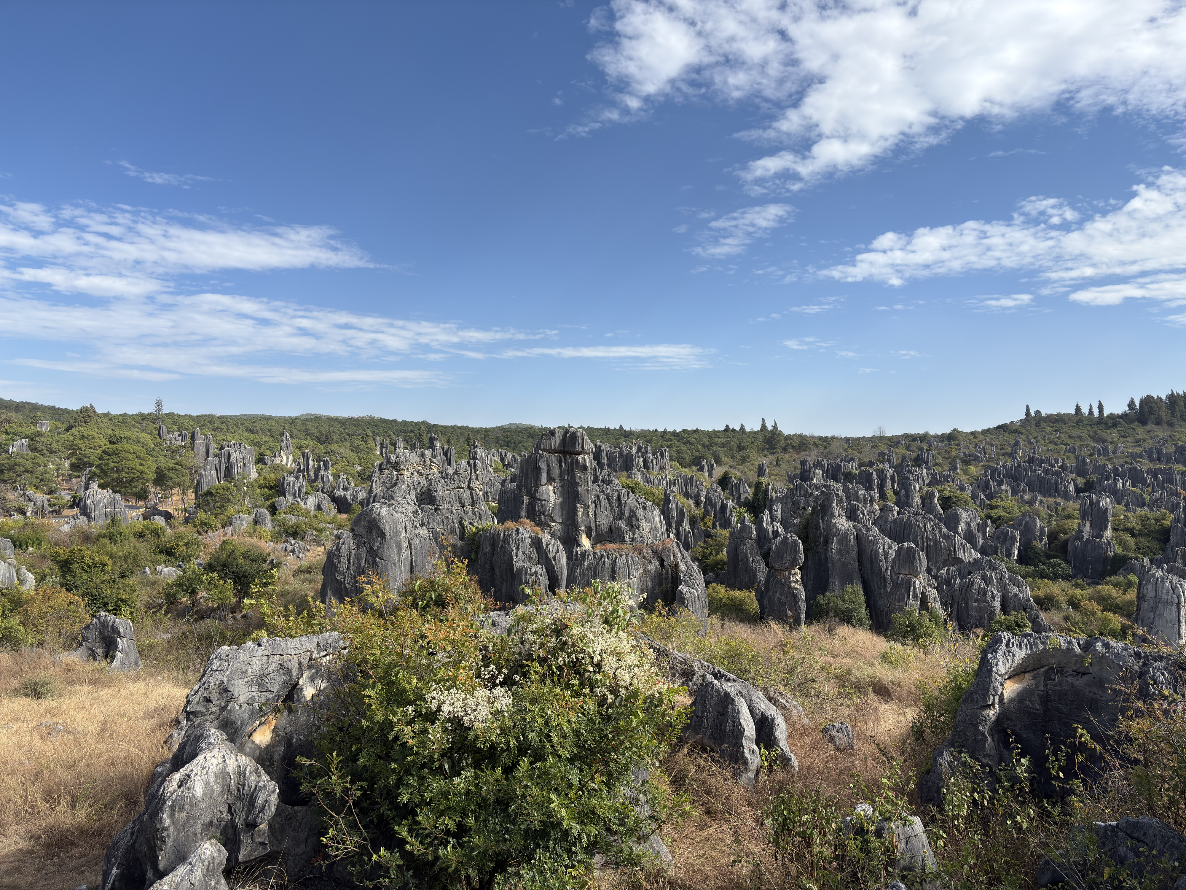Picture China Shilin Stone Forest 2026-01 311 - Around Shilin Stone Forest