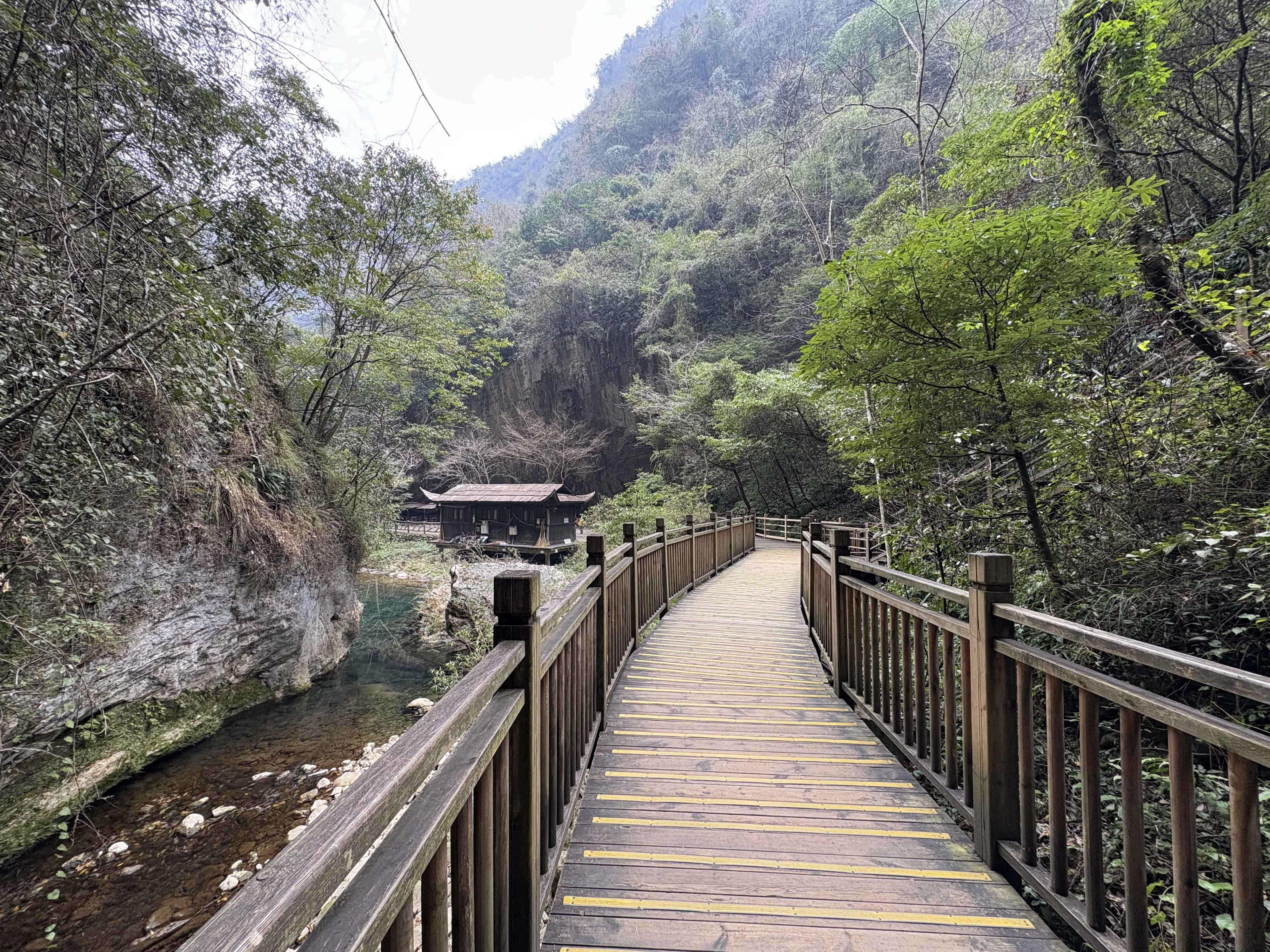 Picture China Zhangjiajie Grand Canion 2026-01 83 - Discovery Grand Canion
