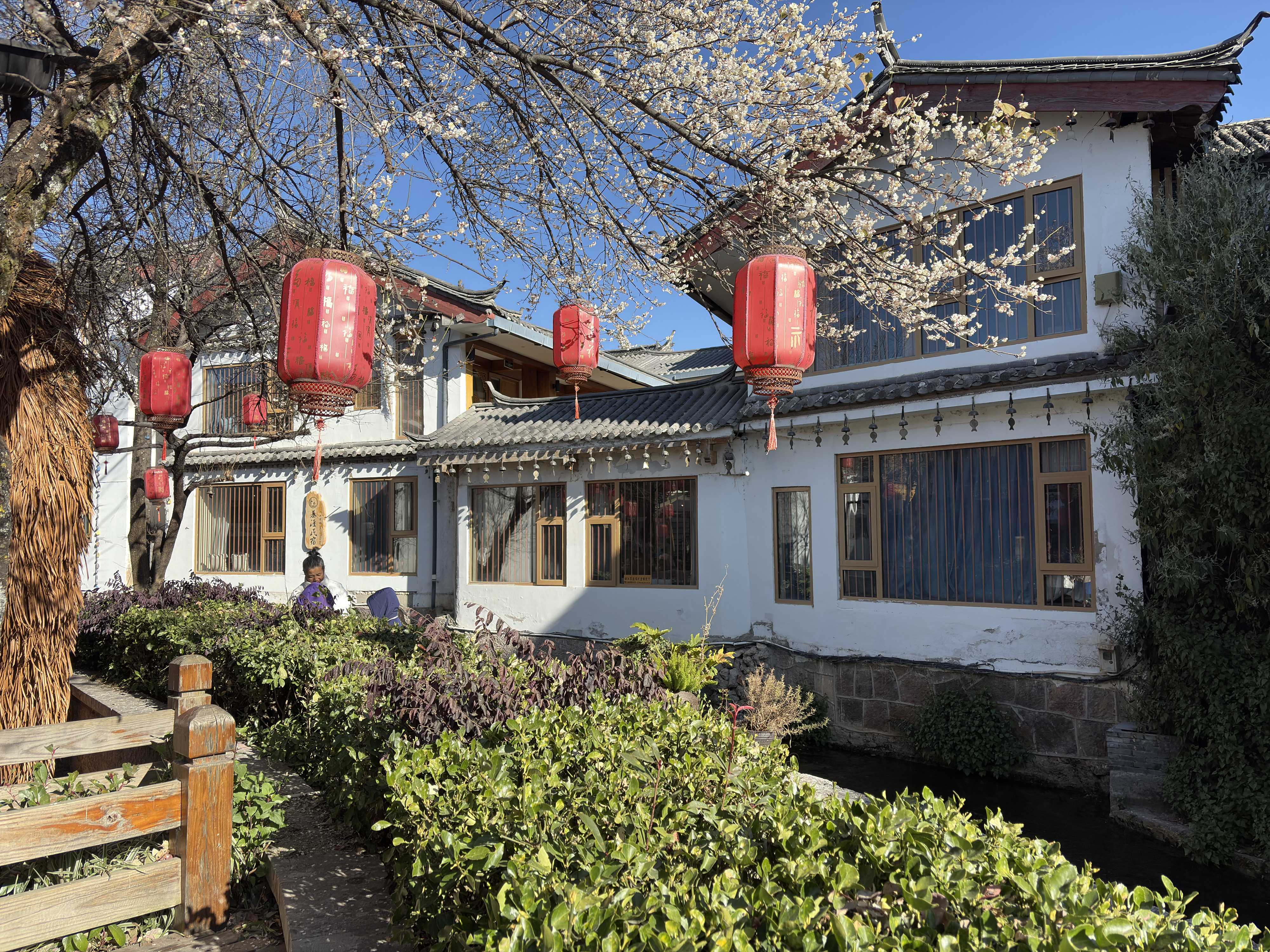 Picture China Lijiang 2026-01 673 - History Lijiang