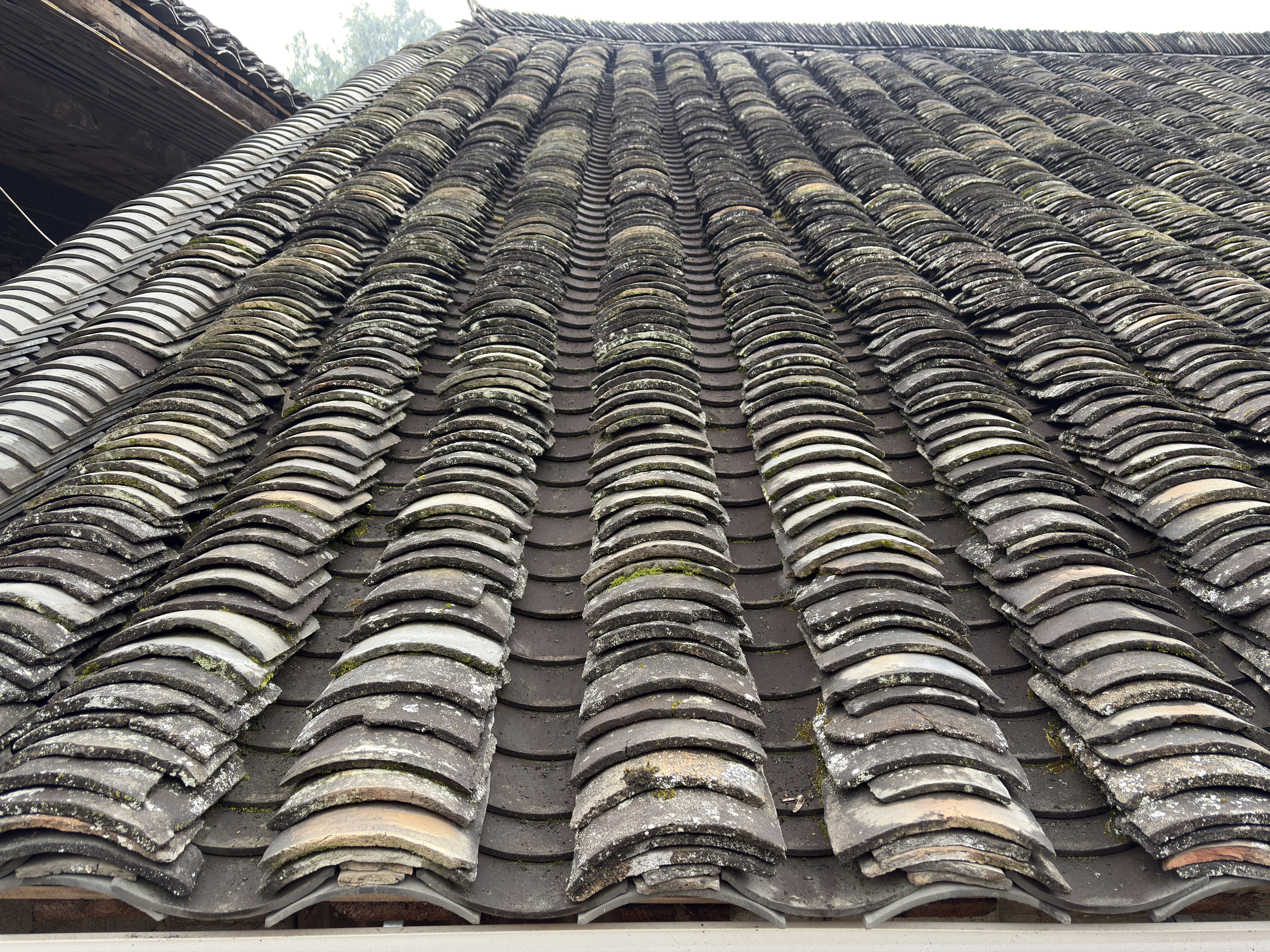 Picture China Furong Ancient Town 2026-01 102 - Around Furong Ancient Town