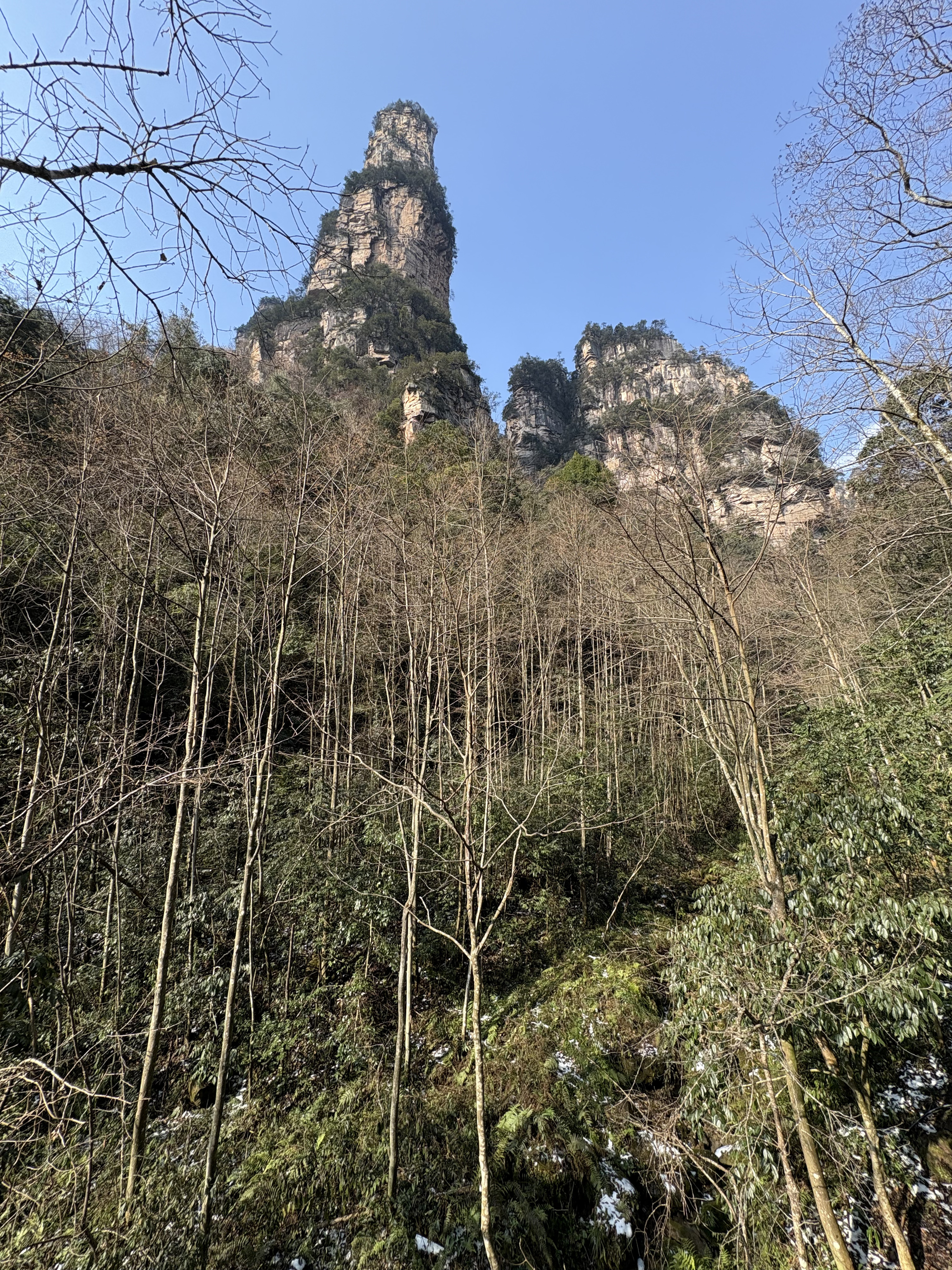 Picture China Zhangjiajie Tianzi Mountrain 2026-01 304 - History Tianzi Mountrain