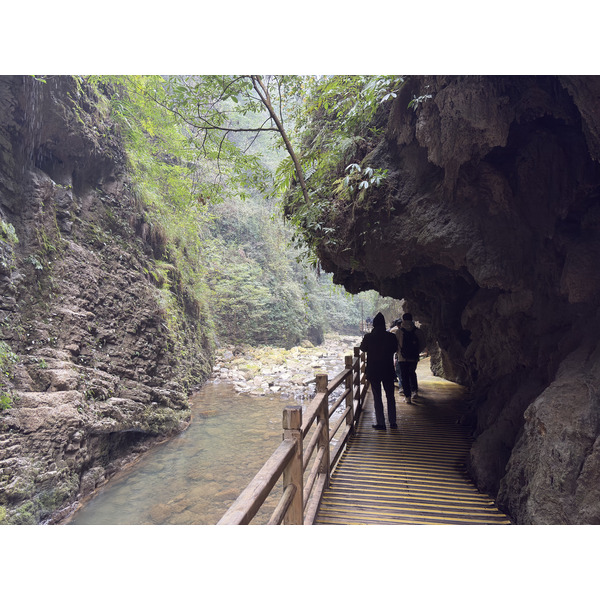 Picture China Zhangjiajie Grand Canion 2026-01 8 - History Grand Canion