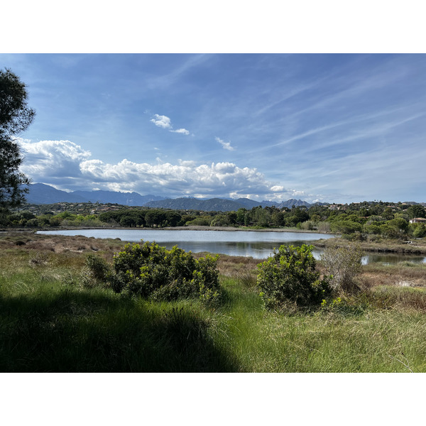 Picture France Corsica Pinarellu Beach 2024-05 34 - Discovery Pinarellu Beach