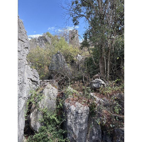 Picture China Shilin Stone Forest 2026-01 164 - Tours Shilin Stone Forest