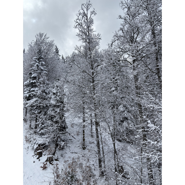 Picture France Praz sur Arly 2025-02 107 - Center Praz sur Arly
