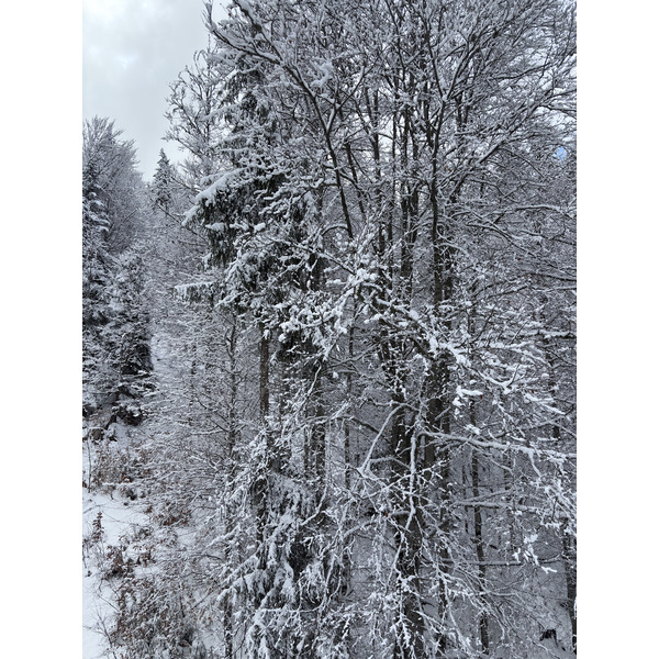 Picture France Praz sur Arly 2025-02 82 - Around Praz sur Arly