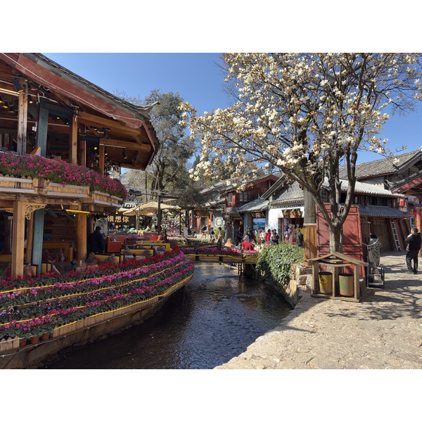 Picture China Lijiang 2026-01 499 - Tours Lijiang
