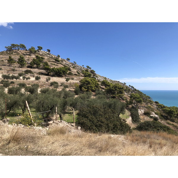Picture Italy Gargano 2024-09 0 - Tours Gargano