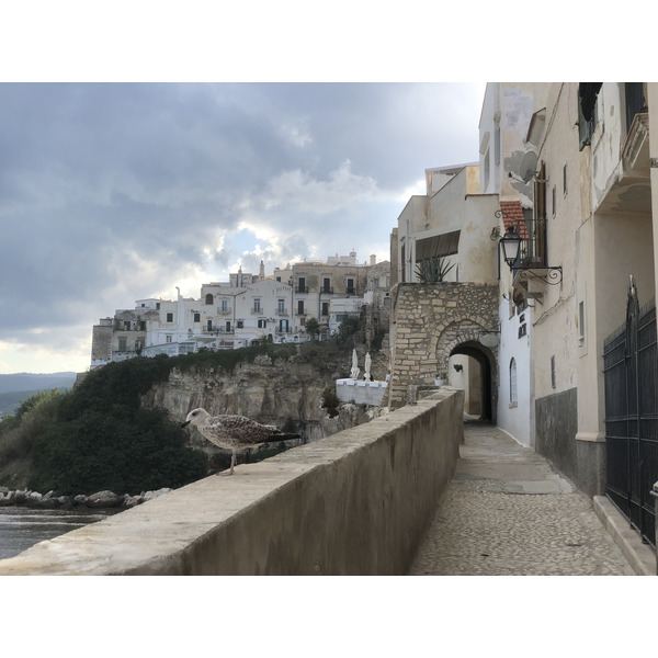Picture Italy Vieste 2024-09 60 - Tour Vieste
